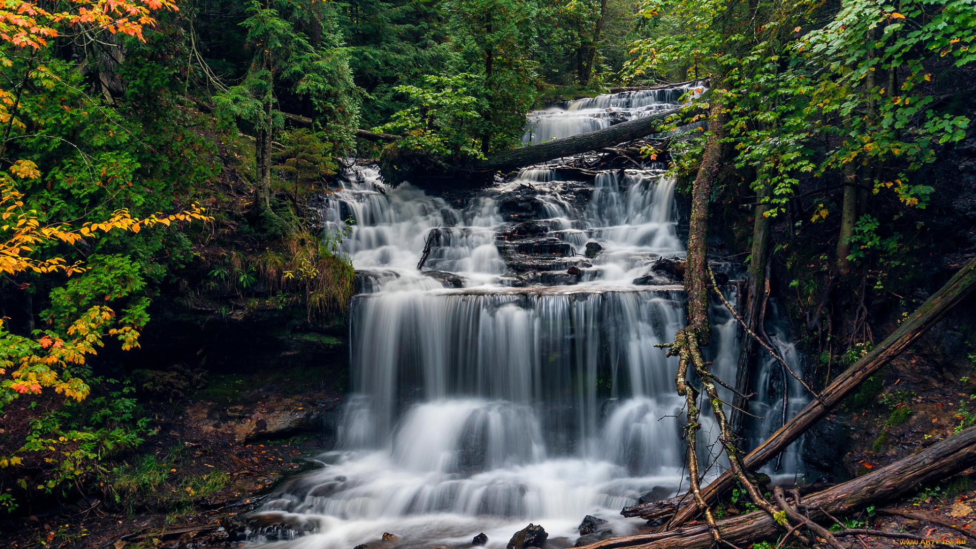 природа, водопады, водопад, река, лес