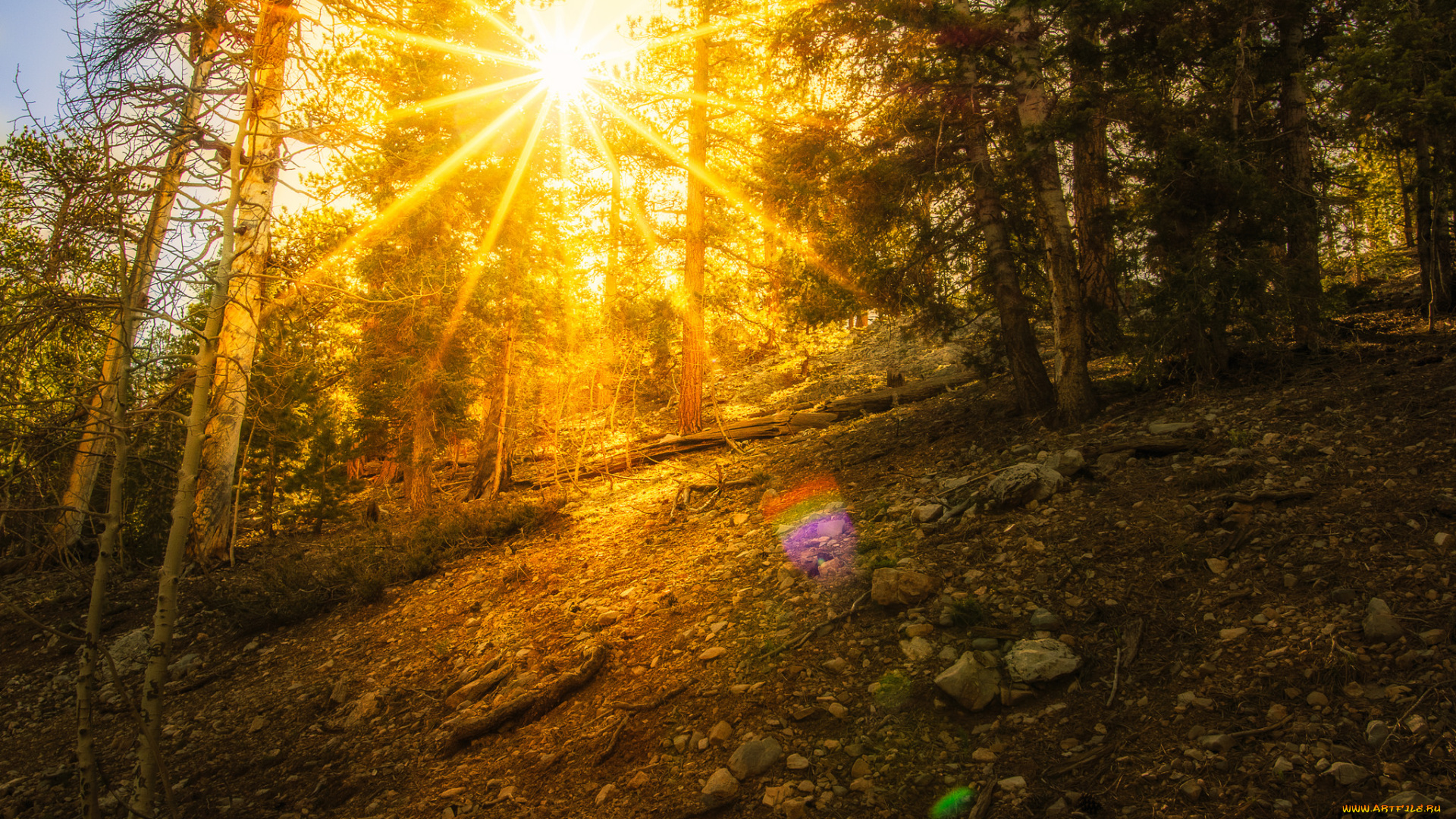 природа, восходы, закаты, рассвет