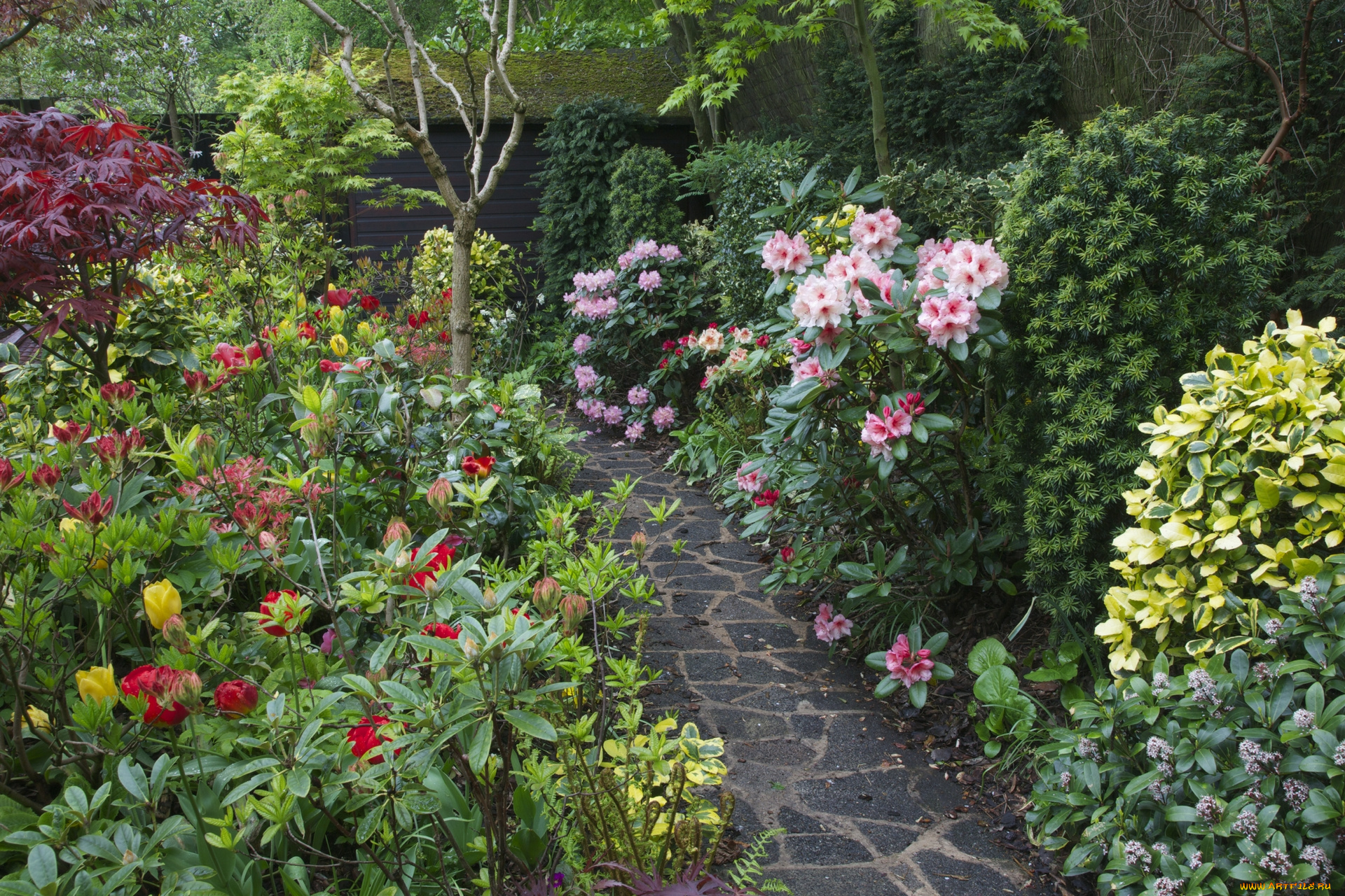 природа, парк, доржка