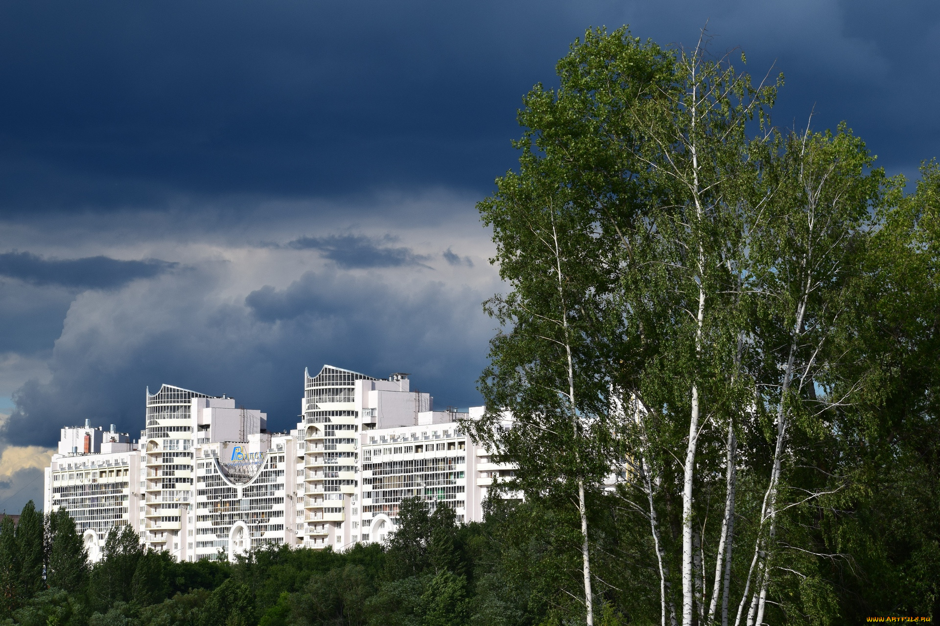 воронеж, города, -, здания, , дома, березы, здания, тучи