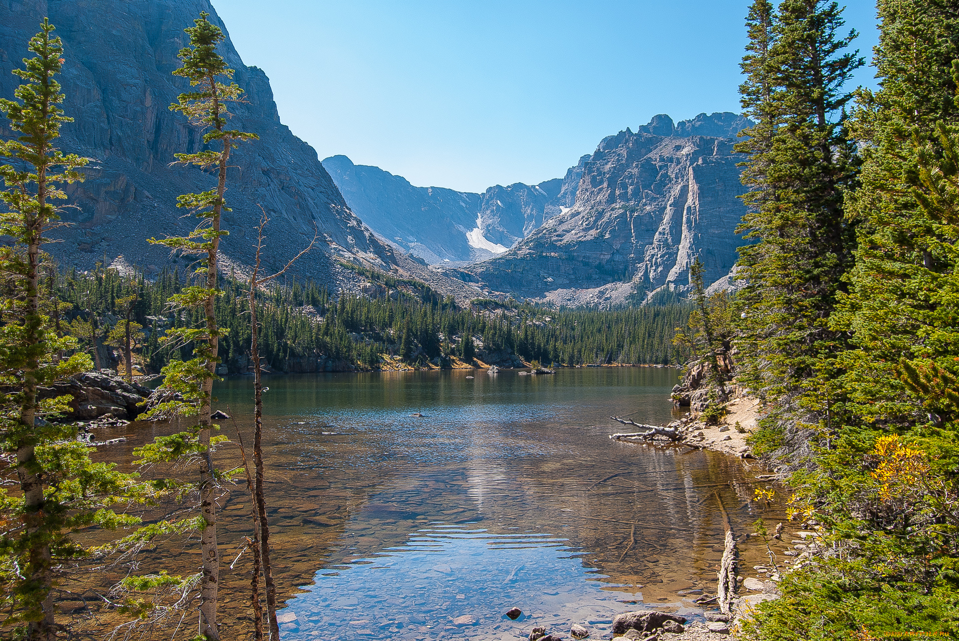 природа, реки, озера, река, лес