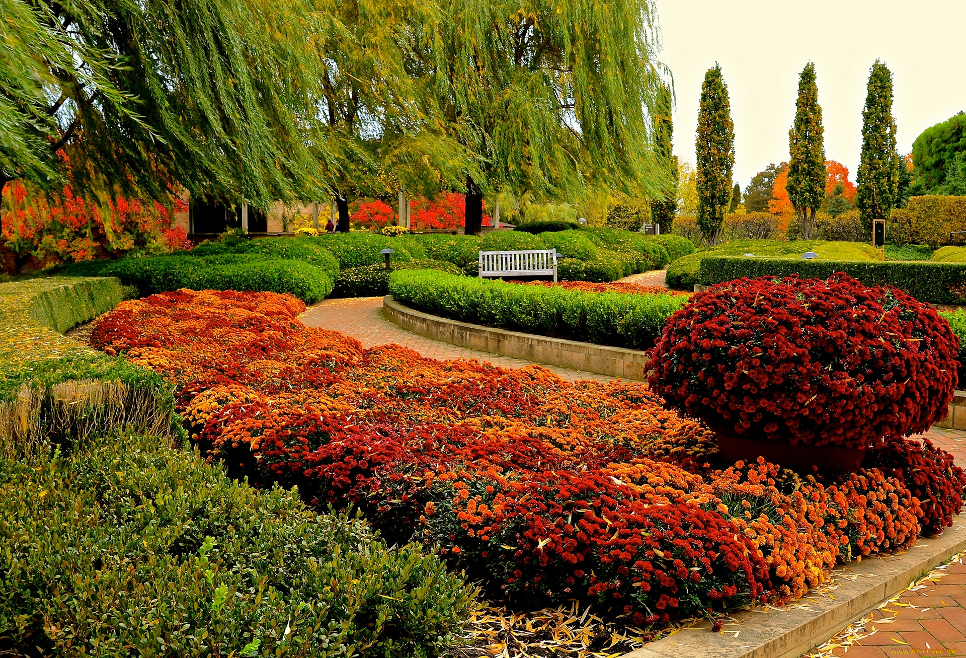 природа, парк, цветы, разноцветные, дорожка, аллея