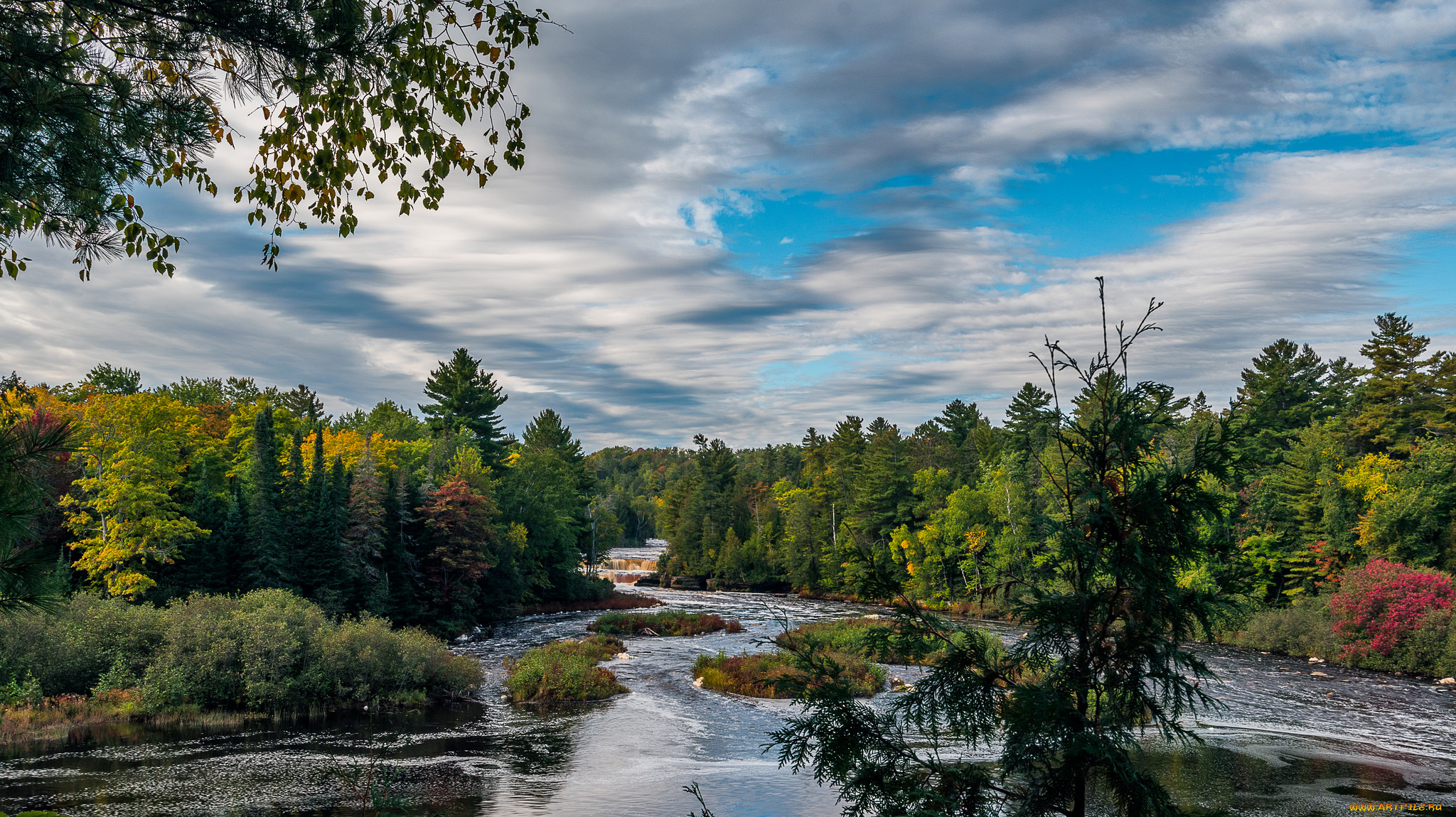 природа, реки, озера, лес, река
