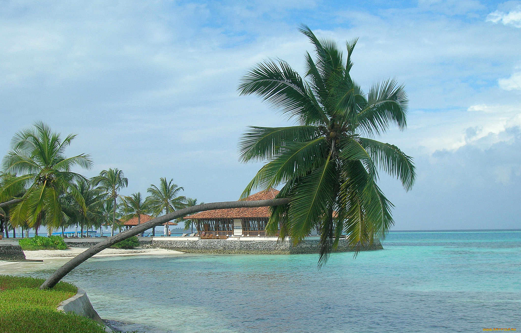 природа, тропики, курорт