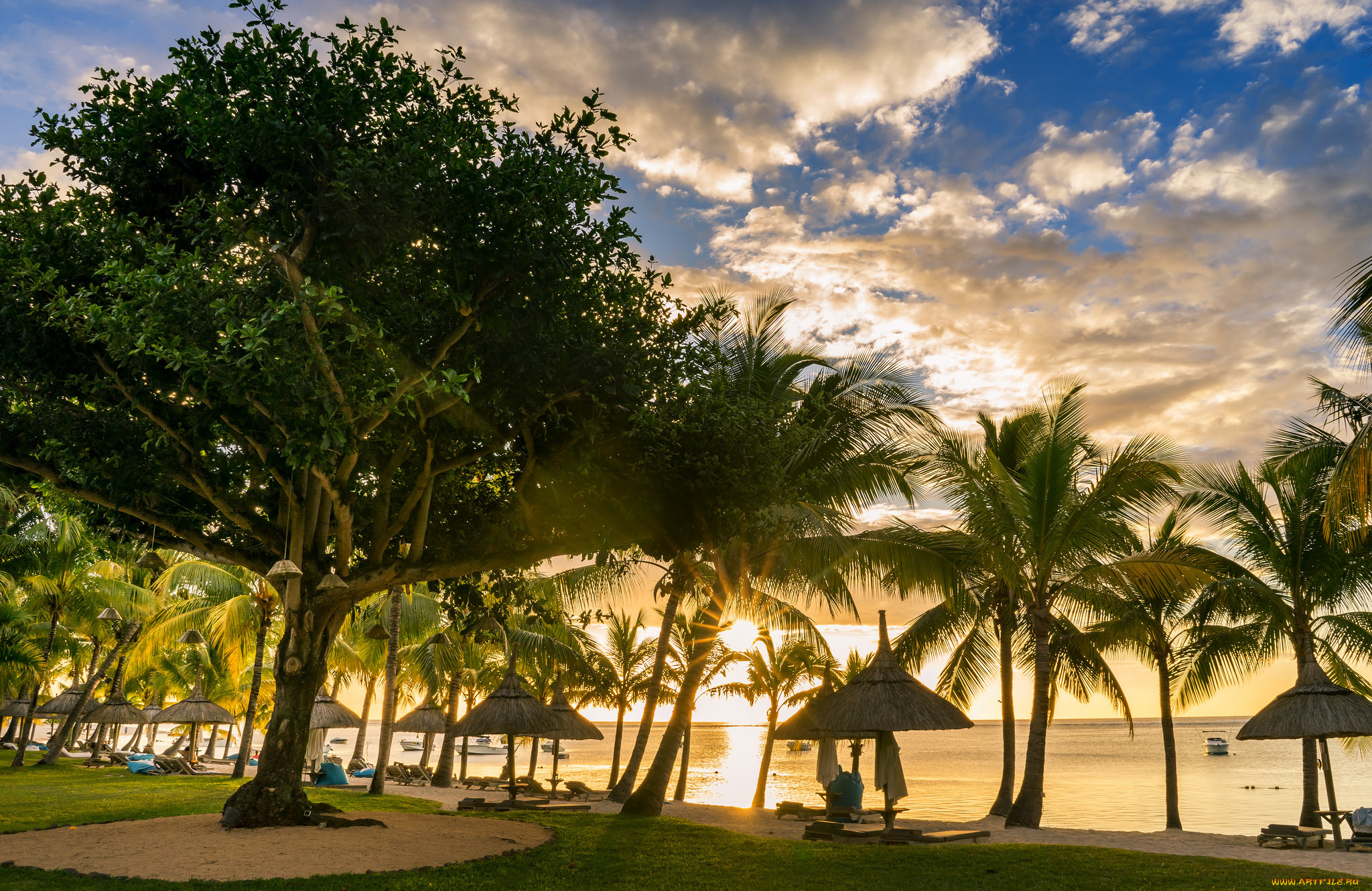 природа, тропики, курорт