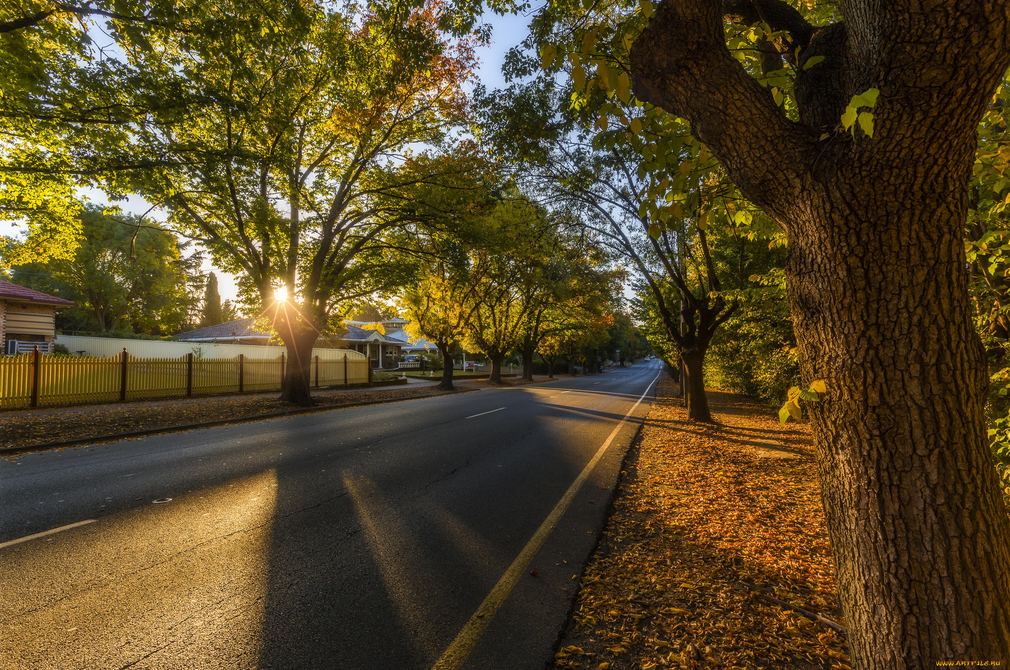 природа, дороги, шоссе