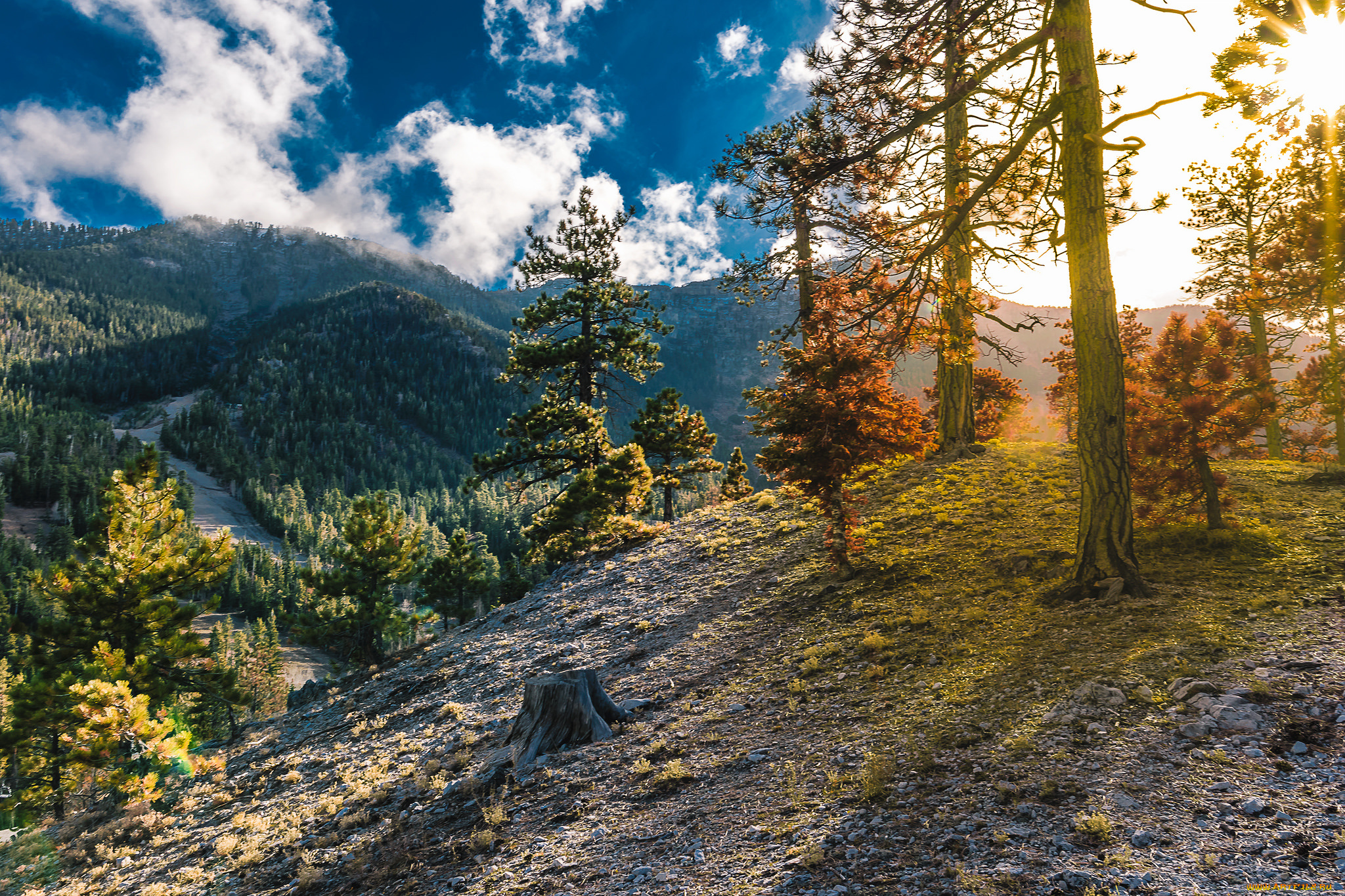 природа, горы, простор