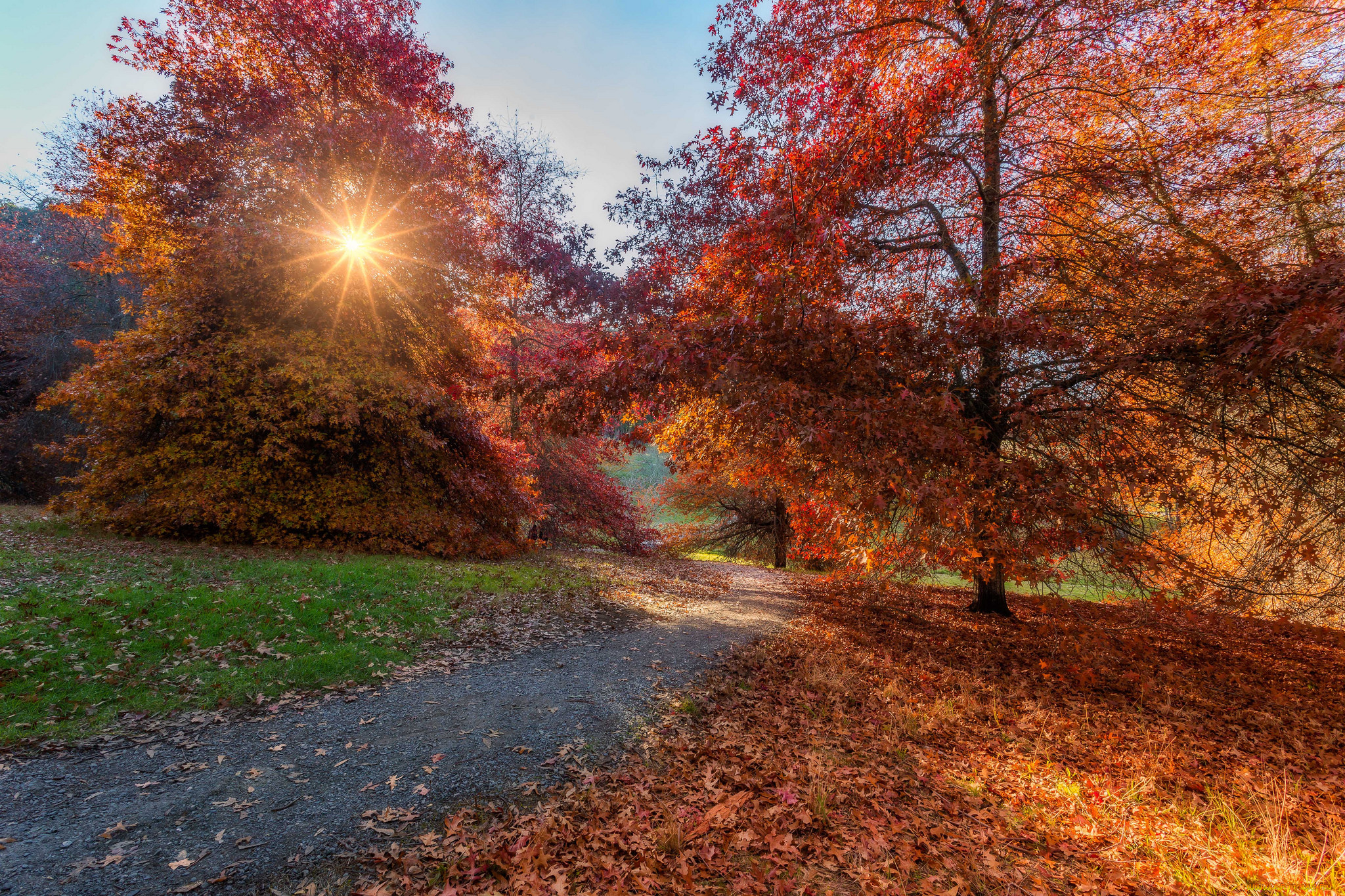 природа, пейзажи, осень
