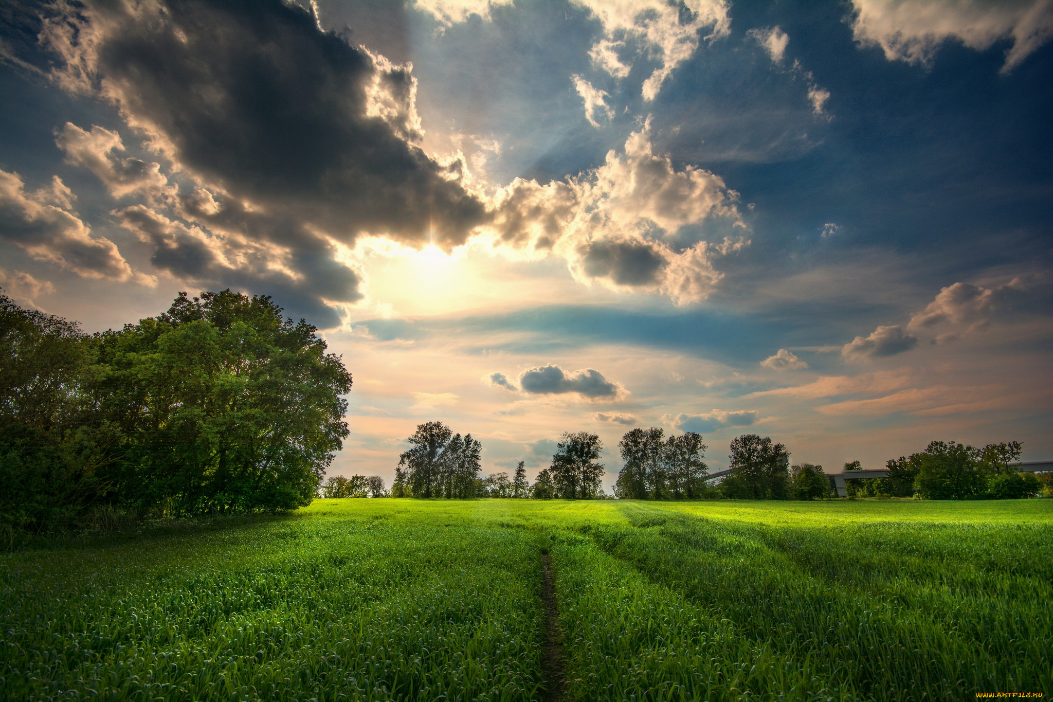 природа, поля, простор