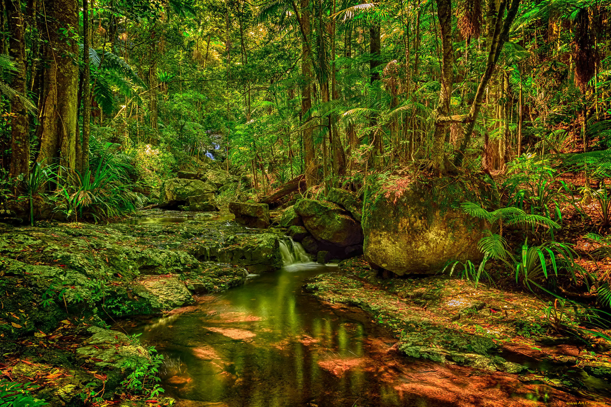 природа, реки, озера, река, лес