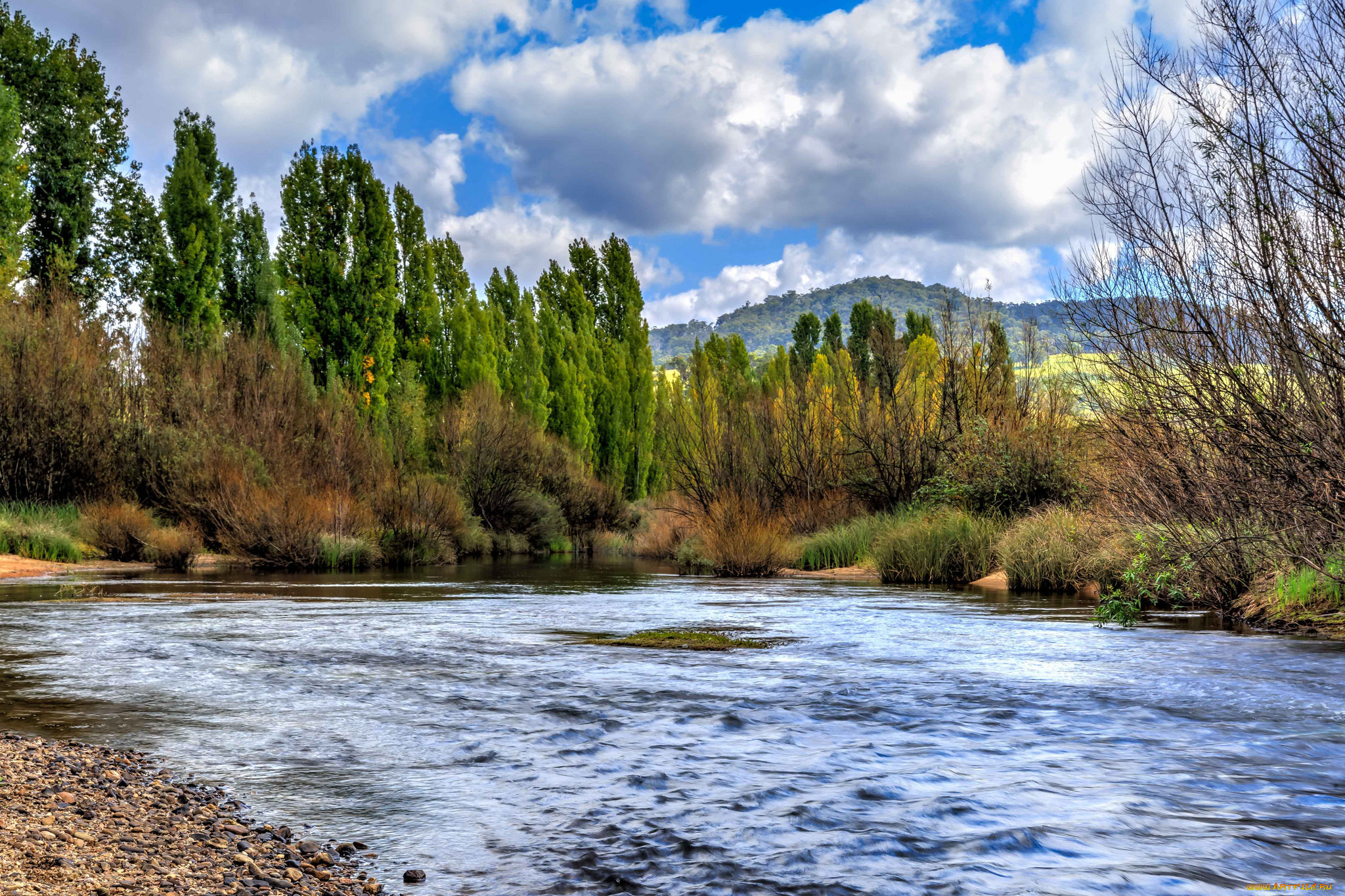 природа, реки, озера, река, лес