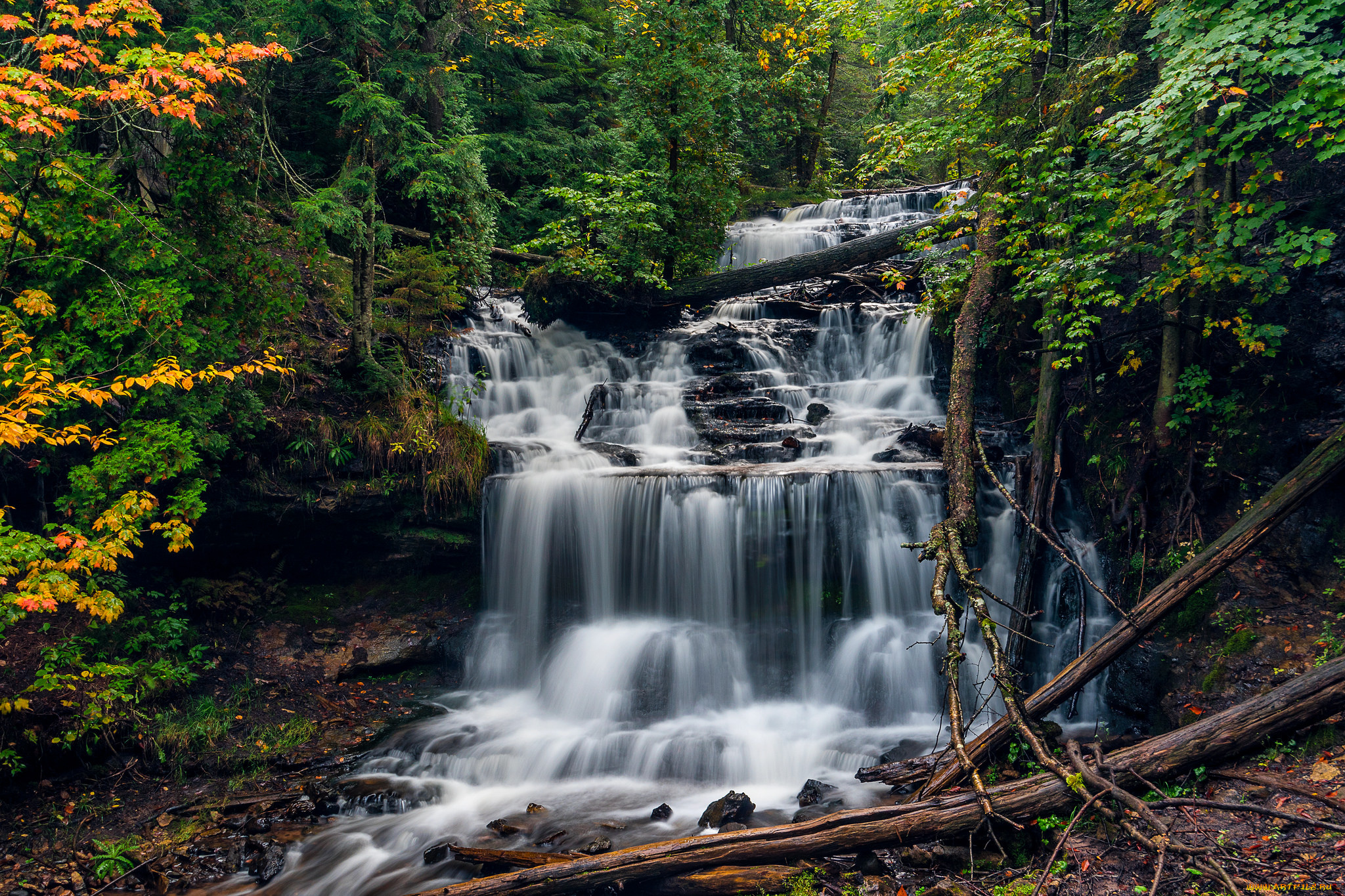 природа, водопады, водопад, река, лес