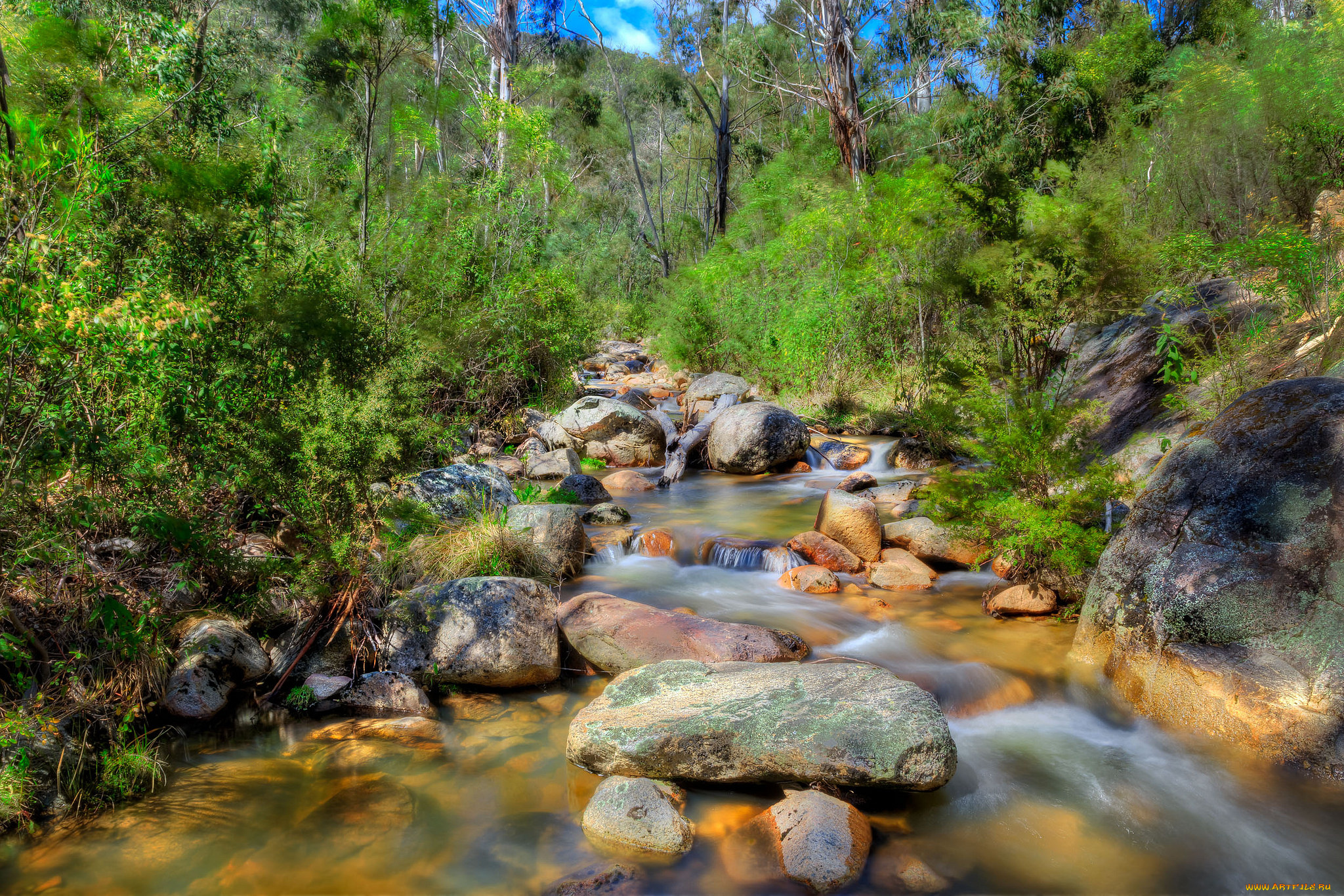 природа, реки, озера, река, лес