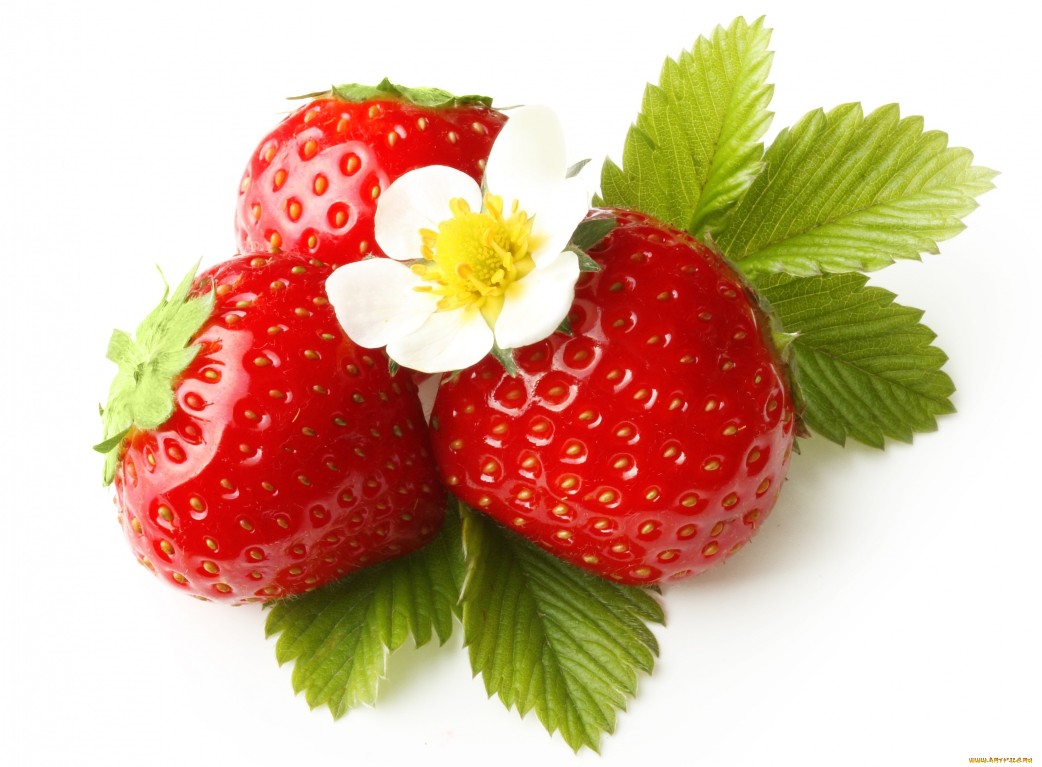 еда, клубника, , земляника