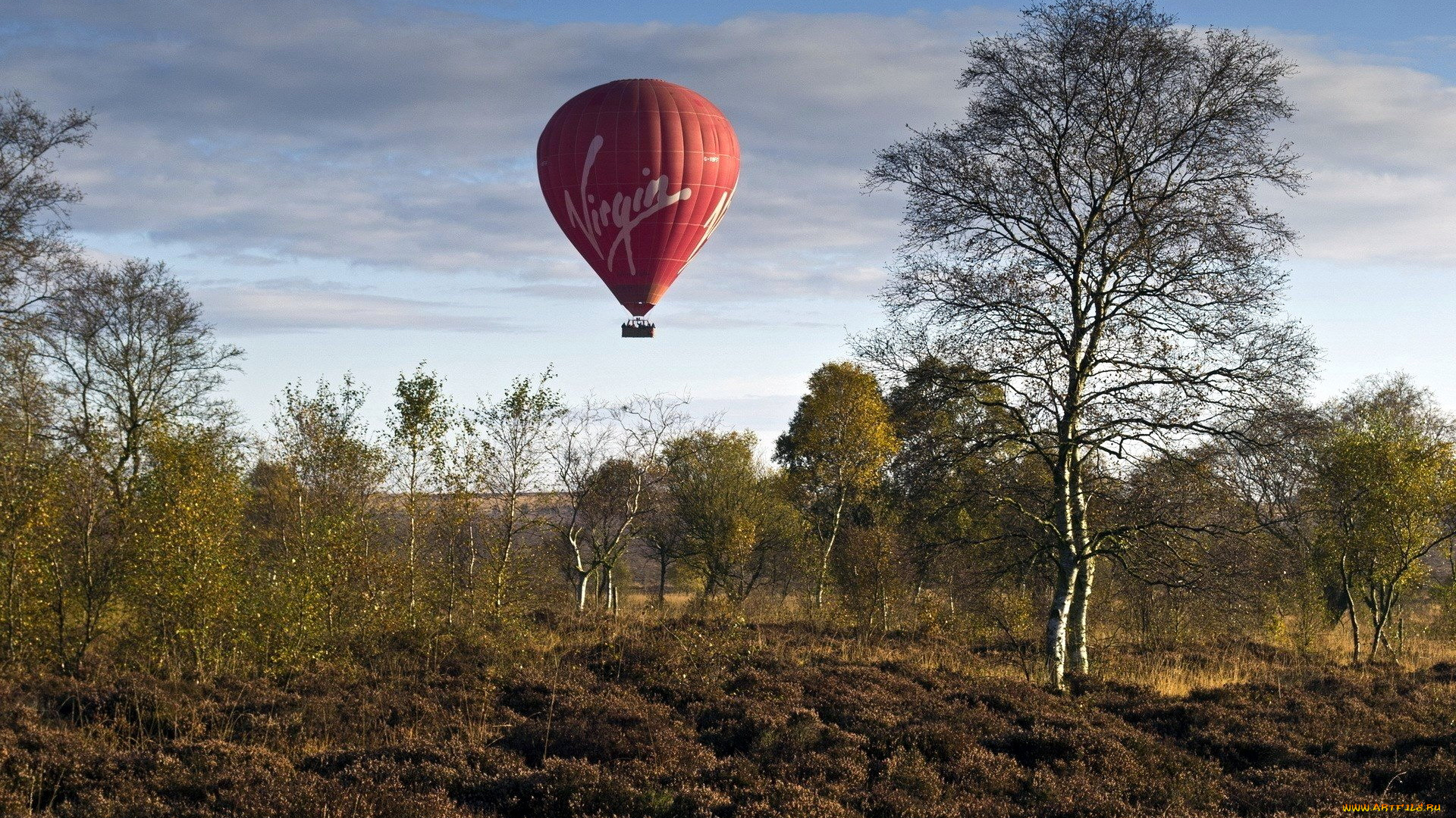 авиация, воздушные, шары, шар, деревья, воздушный