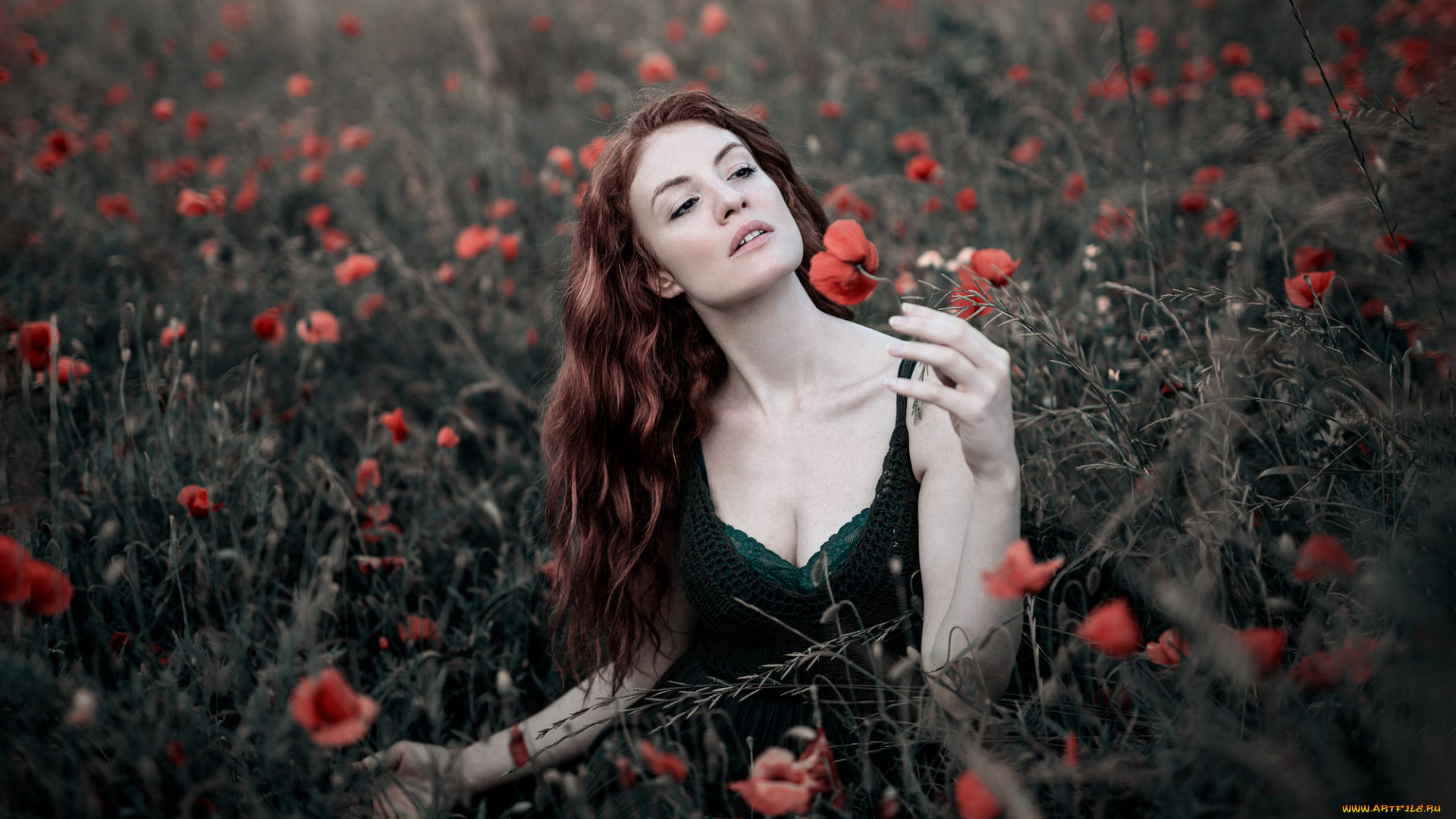 девушка, девушки, -unsort, , рыжеволосые, и, другие, модель, simone, arati