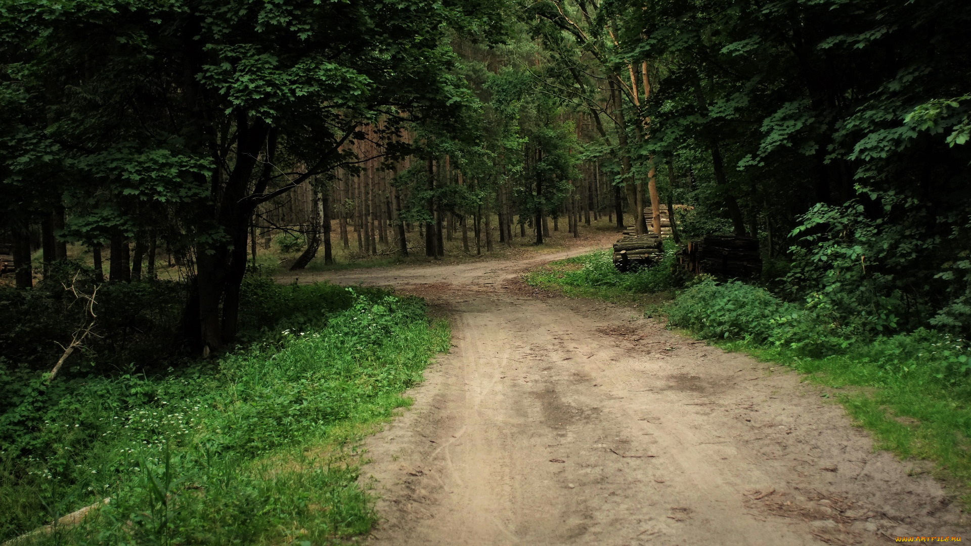 природа, дороги, дорога, лес