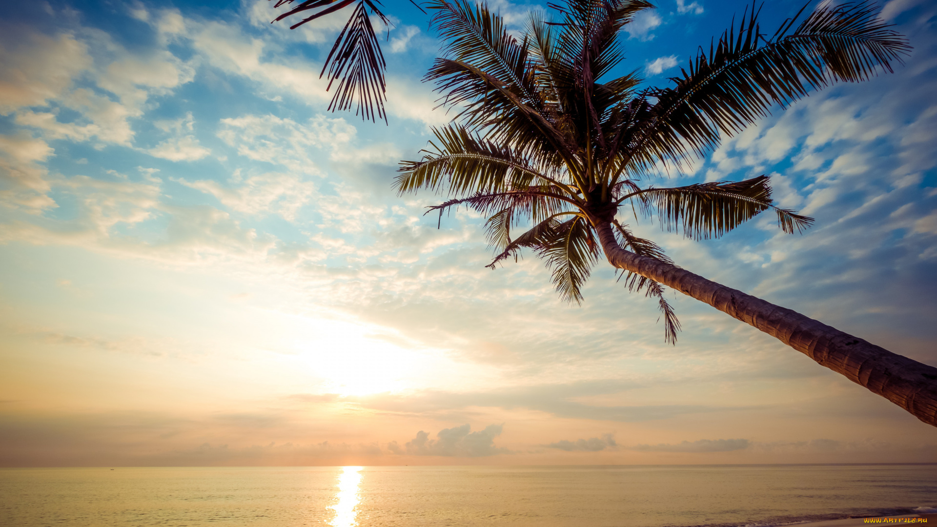 природа, восходы, закаты, beautiful, закат, palms, берег, песок, море, sunset, tropical, лето, пляж, sea, sand, seascape, небо, волны, summer, пальмы, paradise, beach