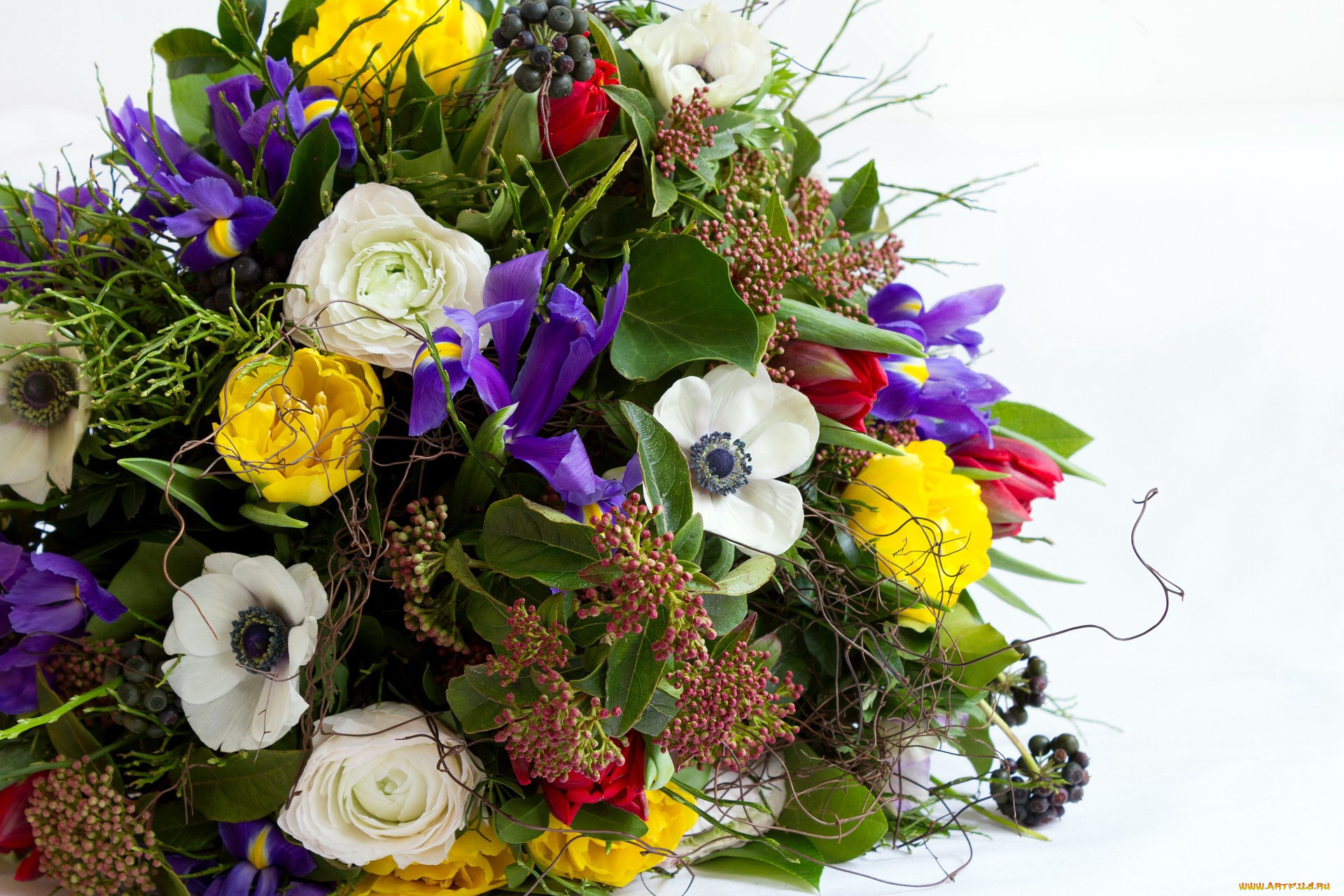 цветы, букеты, , композиции, анемоны, ирисы