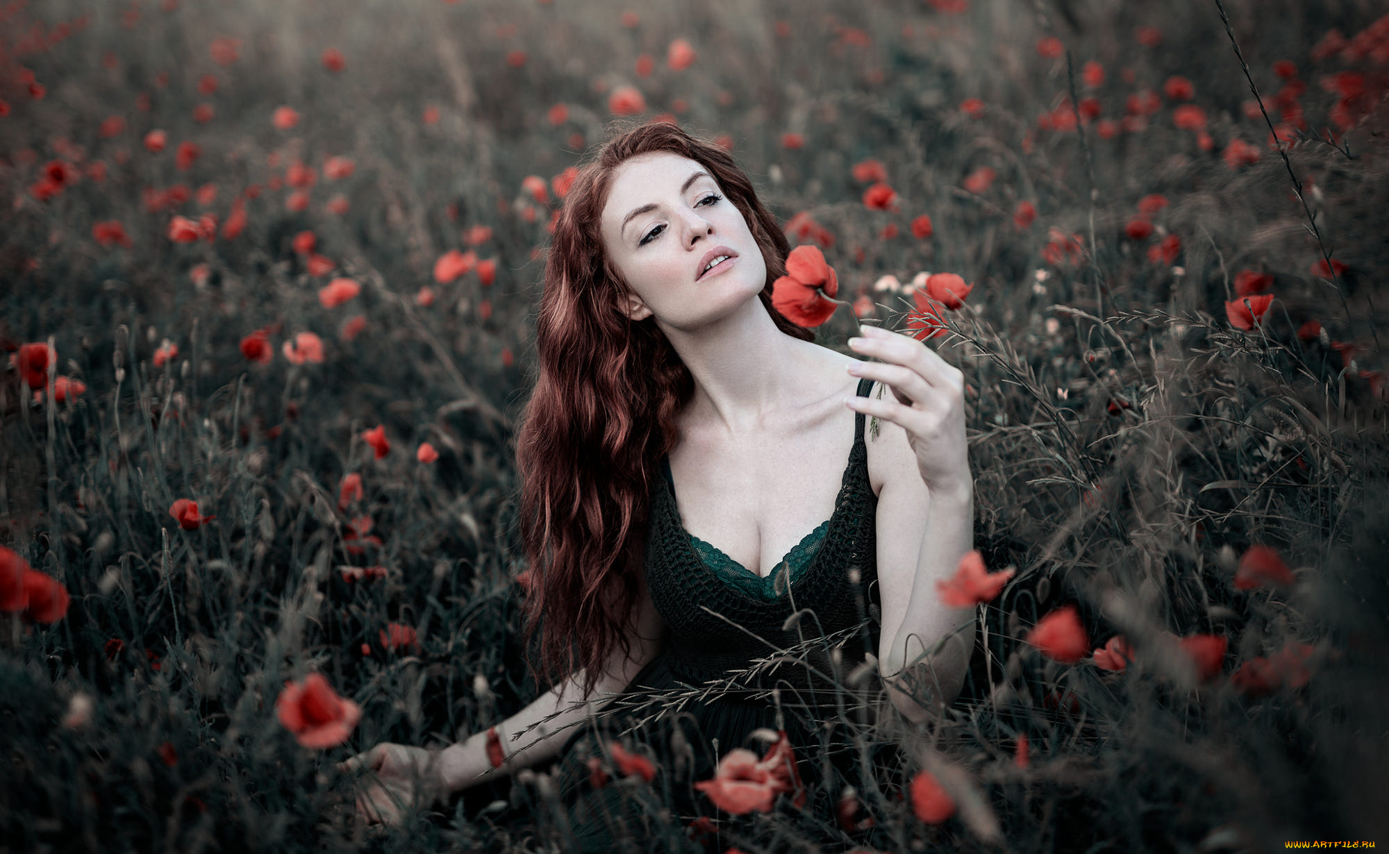 девушка, девушки, -unsort, , рыжеволосые, и, другие, модель, simone, arati