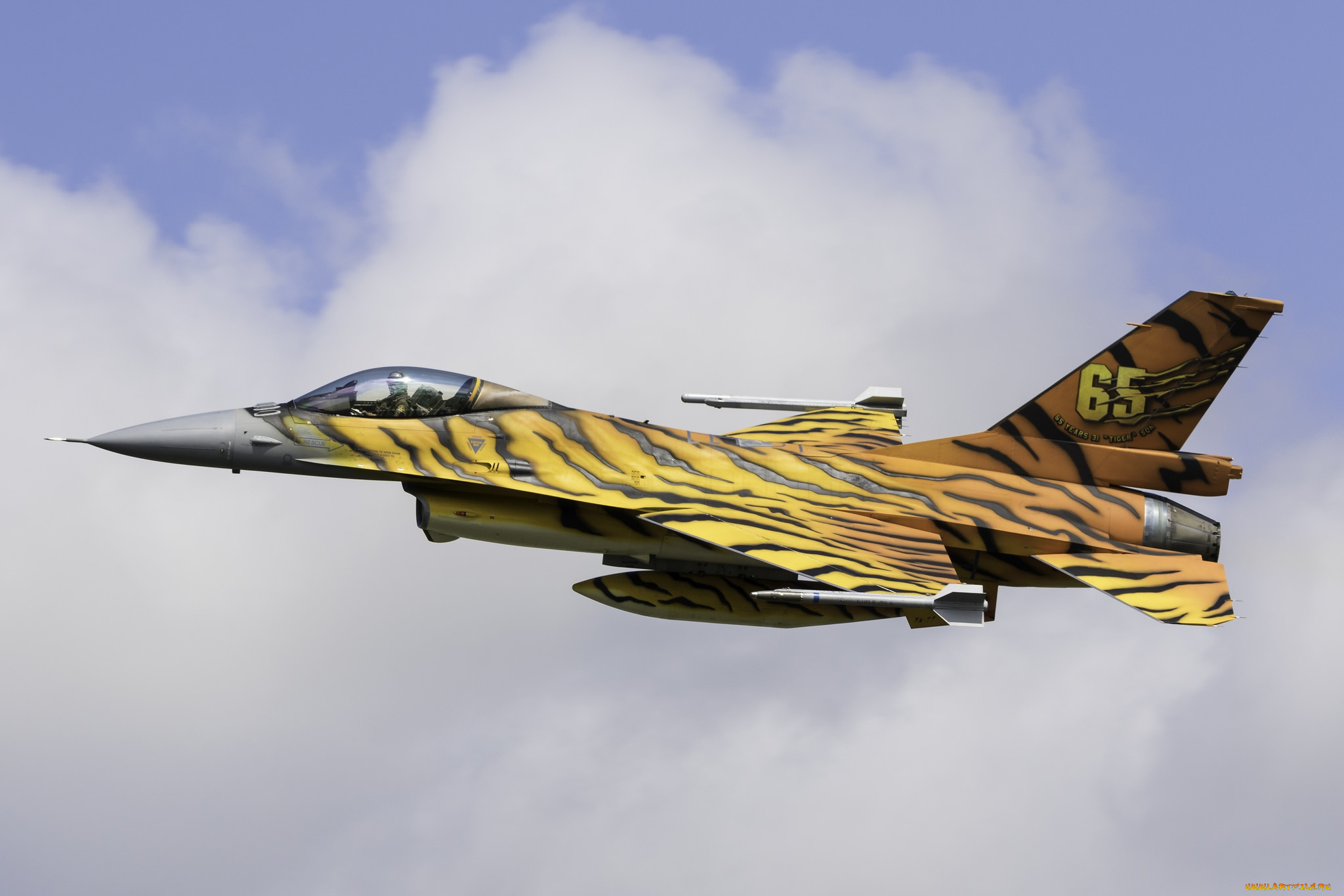 авиация, боевые, самолёты, ввс