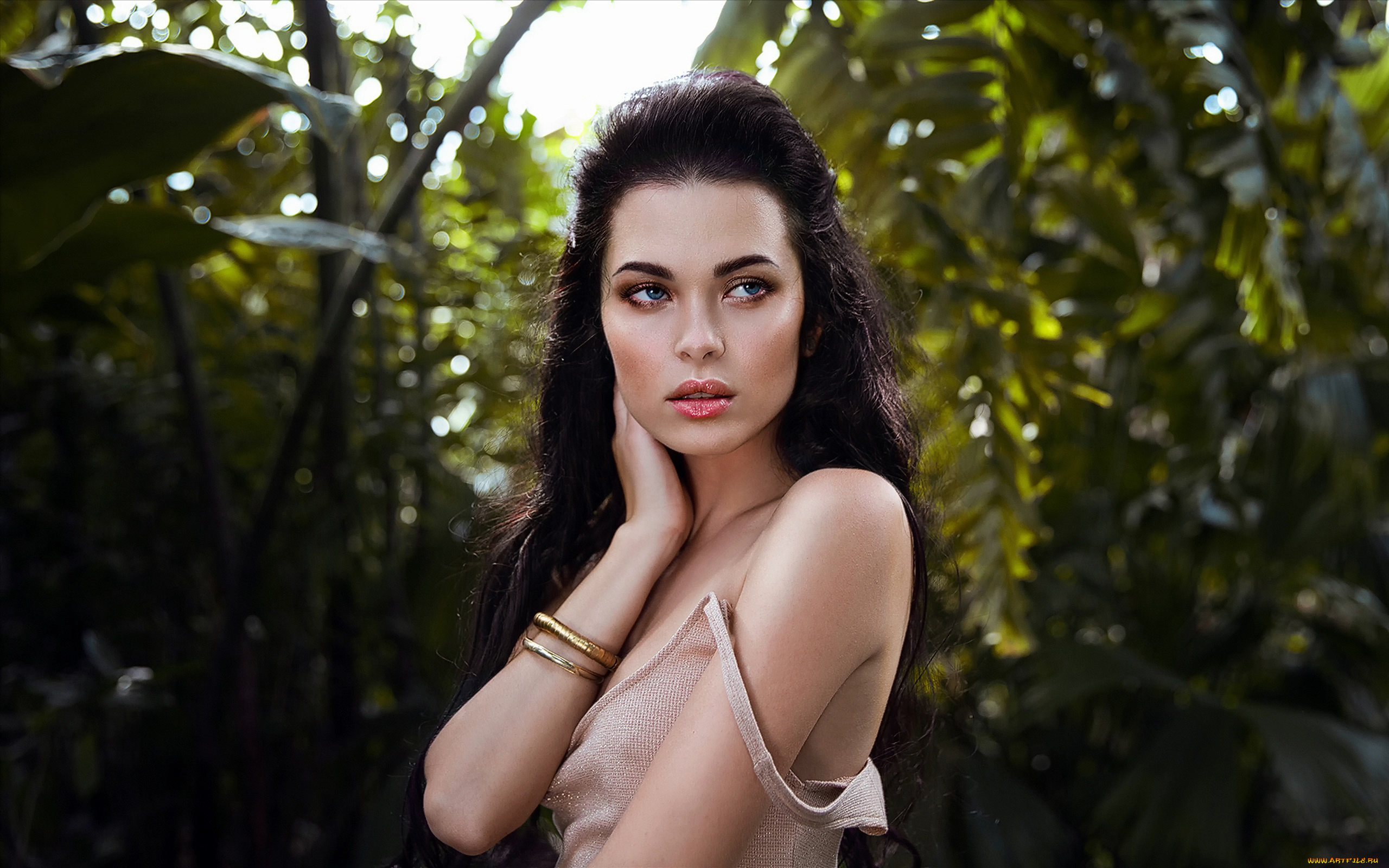 девушки, -unsort, , брюнетки, темноволосые, взгляд, темный, фон, портрет, алина, майер, alina, mayer