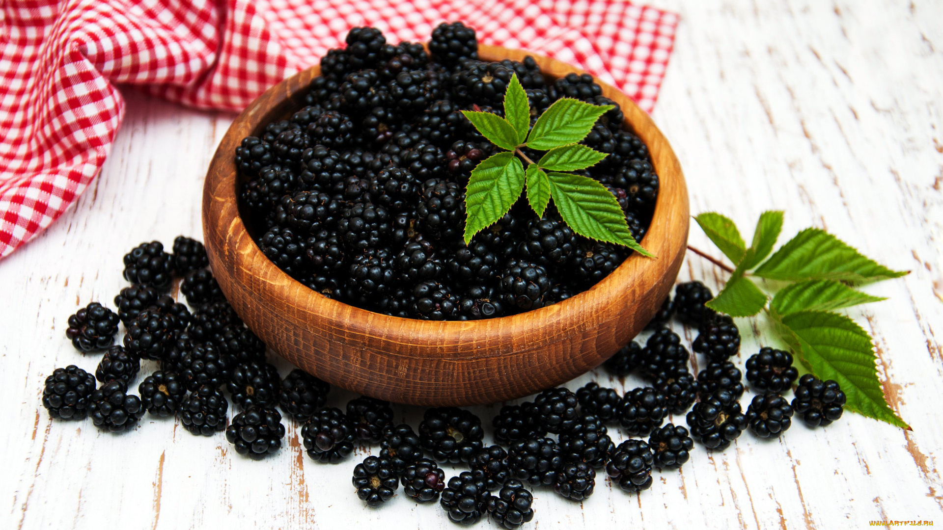 еда, ежевика, ягоды