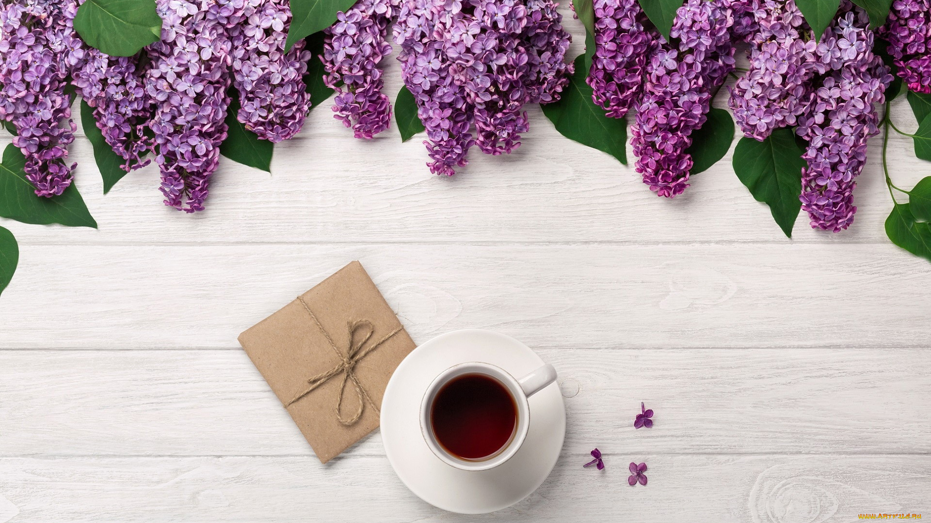 еда, кофе, , кофейные, зёрна