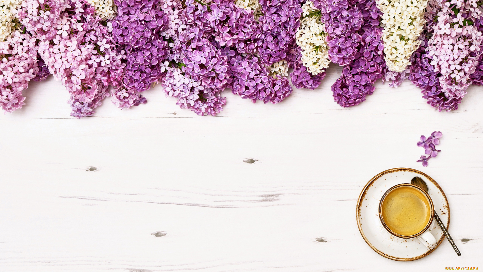 еда, кофе, , кофейные, зёрна