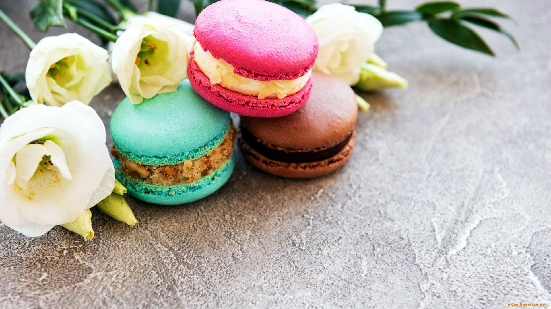 еда, макаруны, ассорти, печенье, лакомство