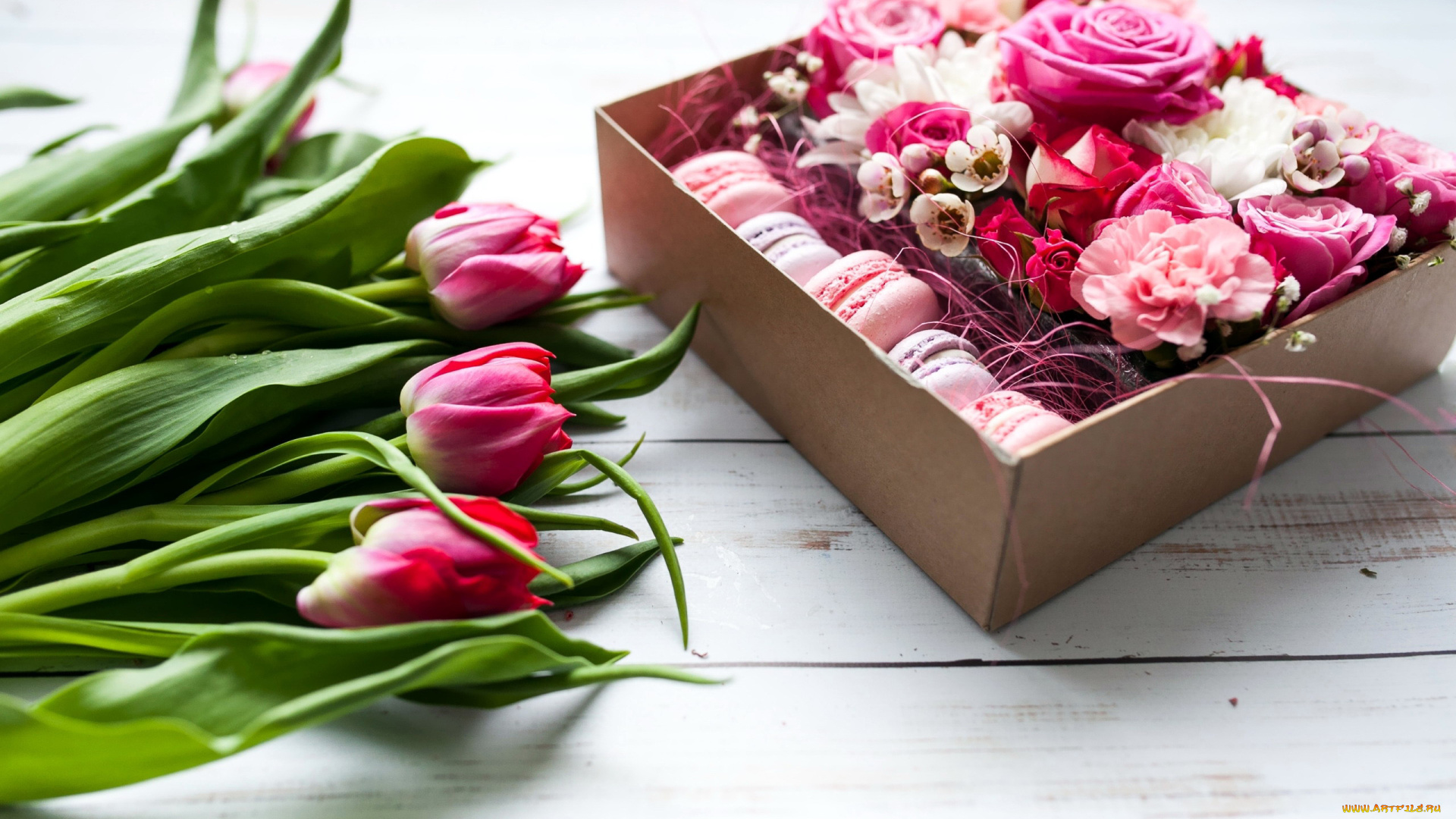 еда, макаруны, лакомство, печенье