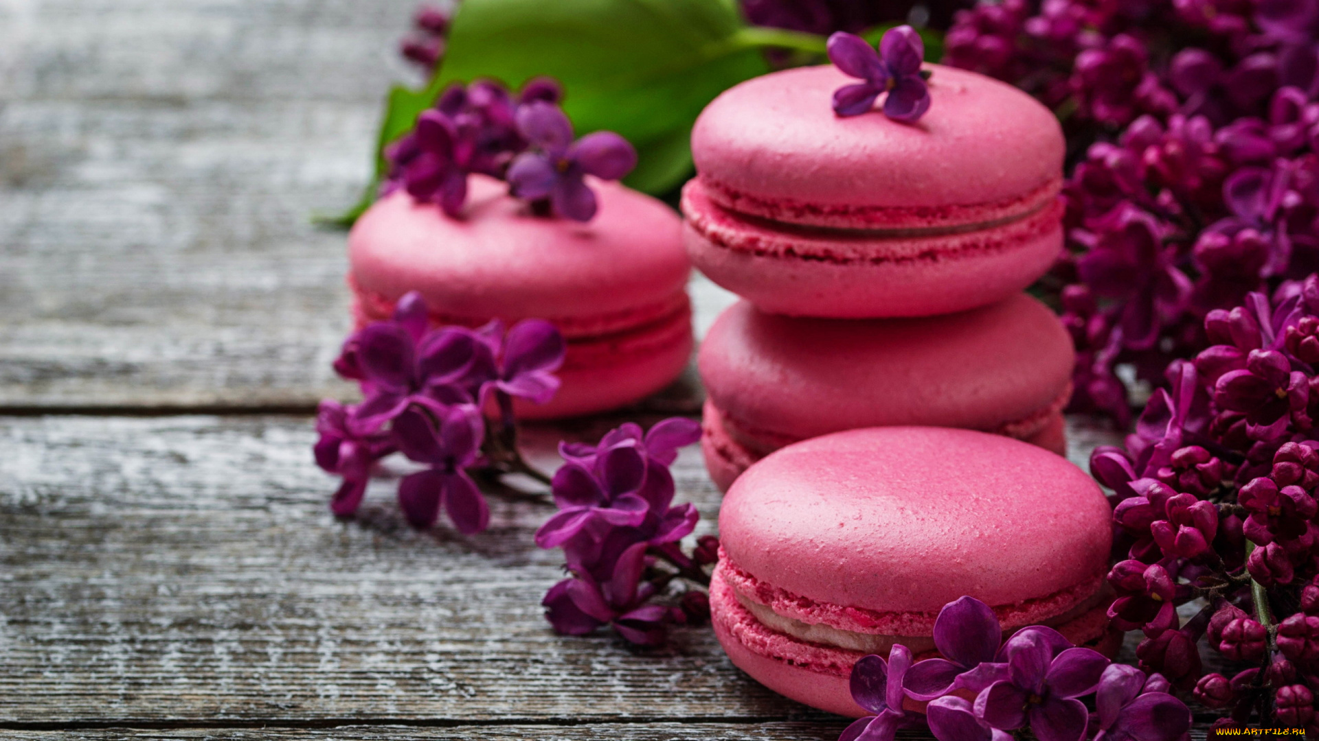 еда, макаруны, лакомство, печенье