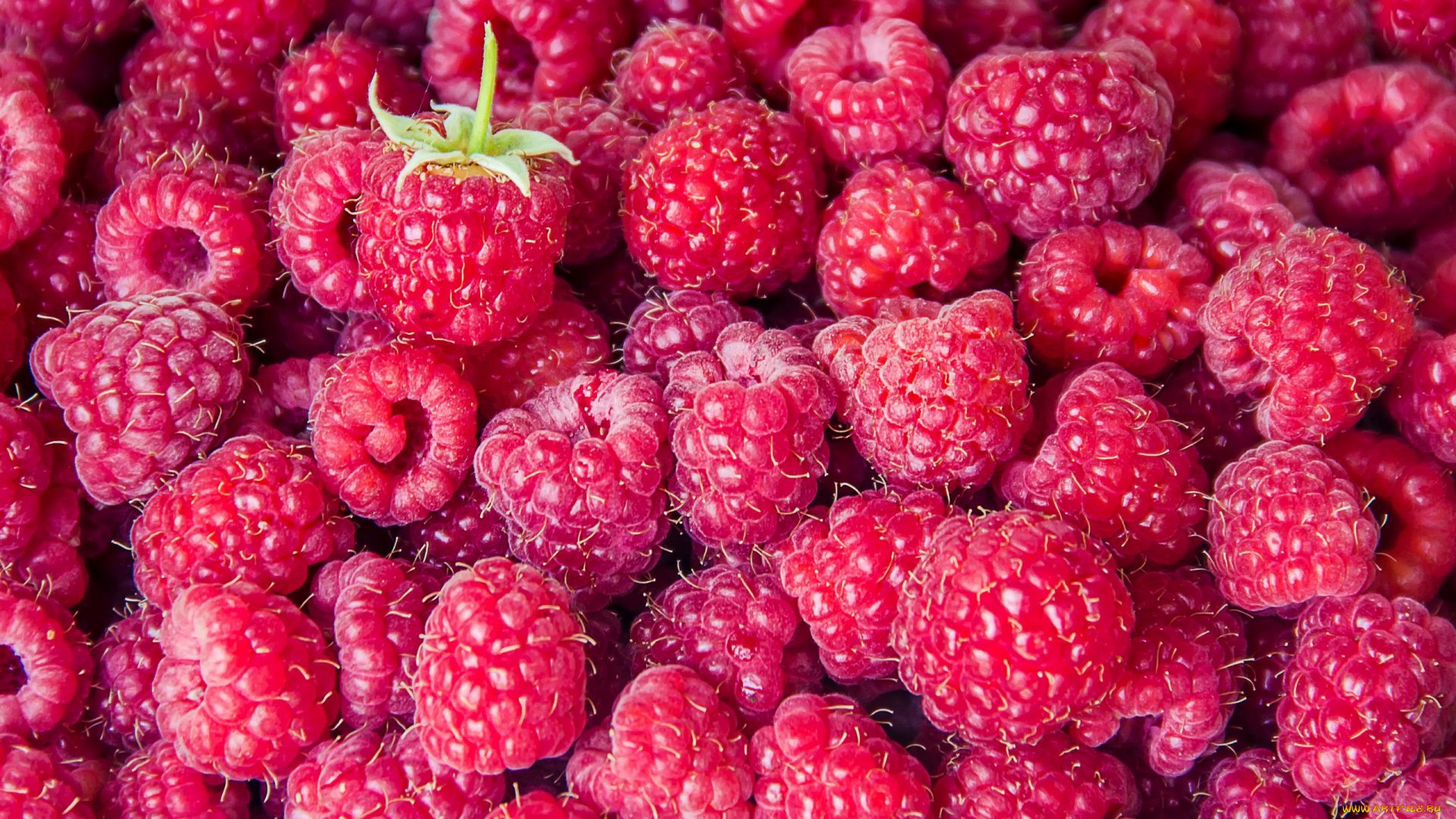 еда, малина, ягоды, спелая