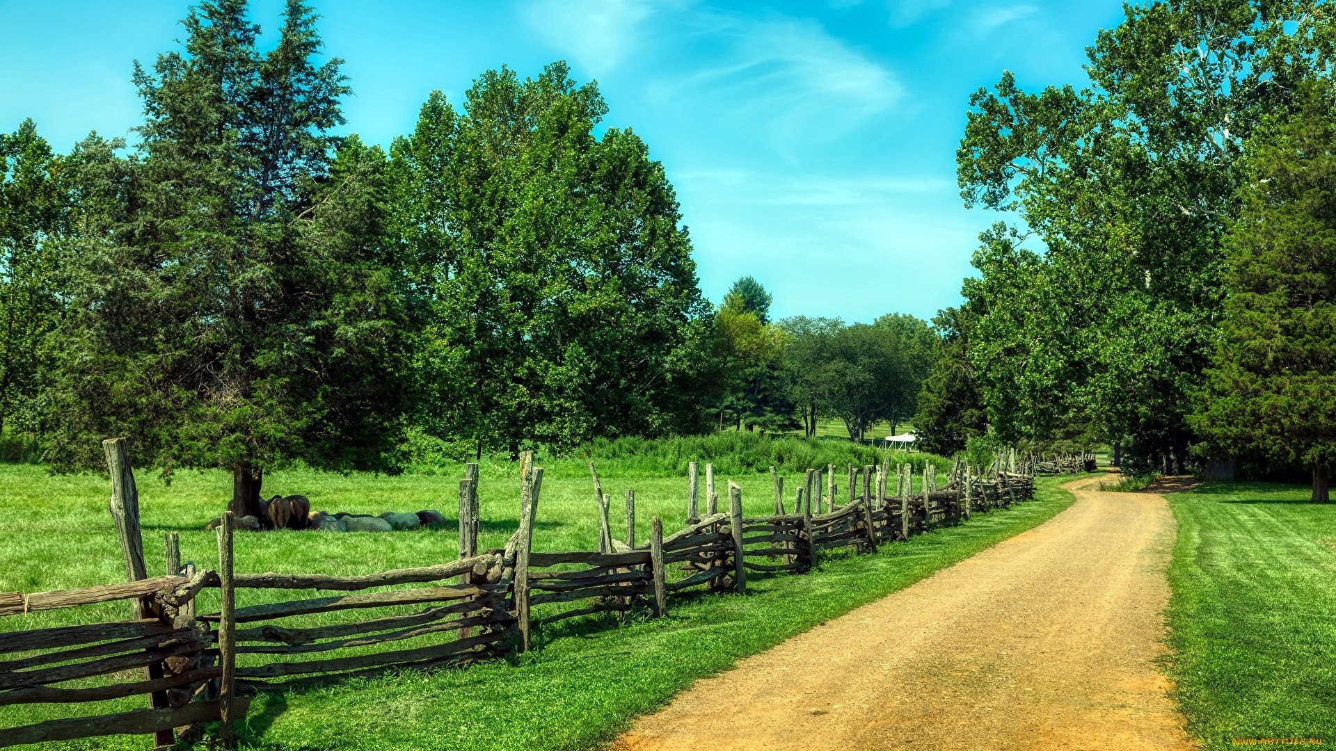 природа, дороги, дорога, проселочная