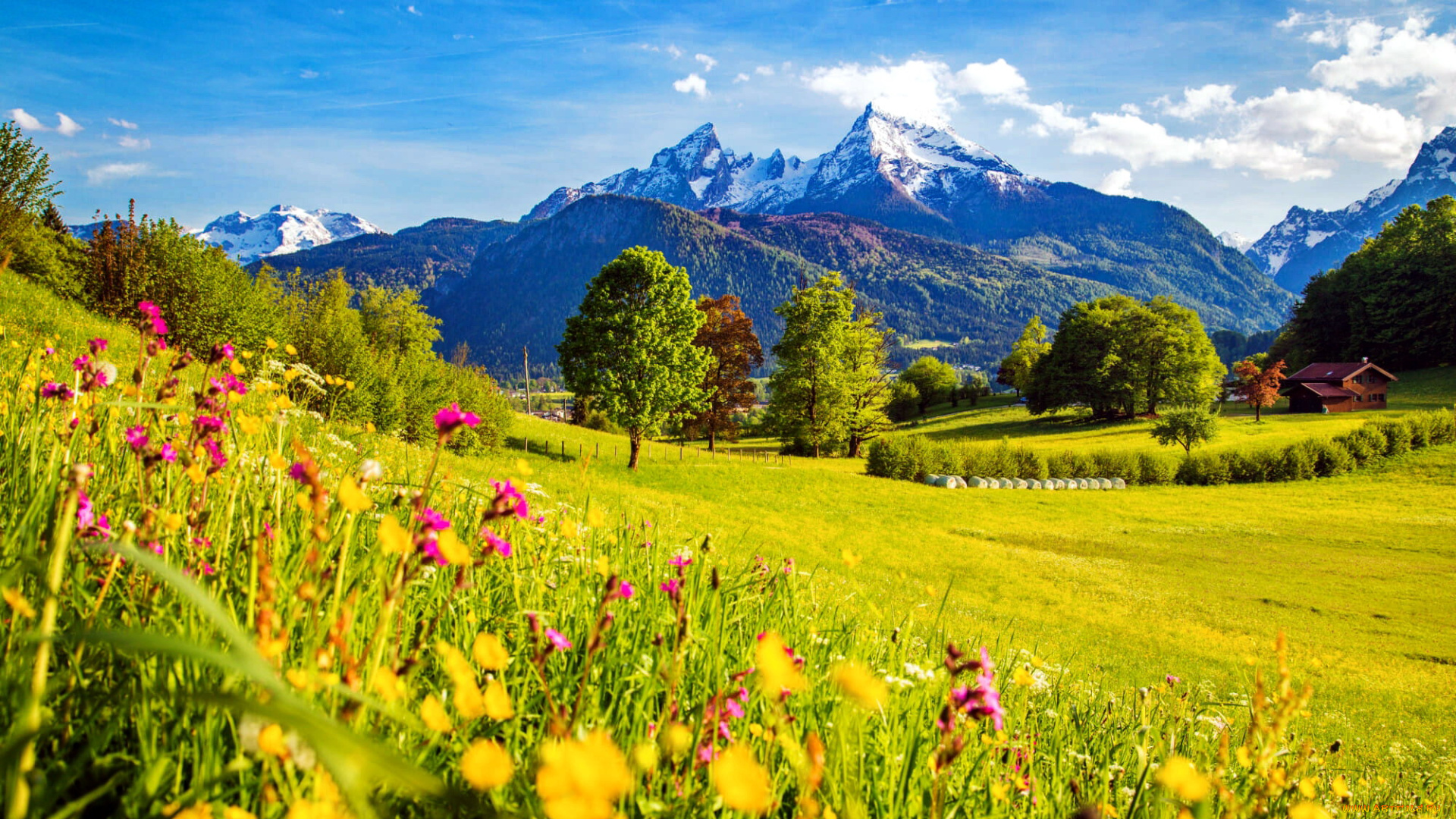 природа, луга, лето, луг, горы