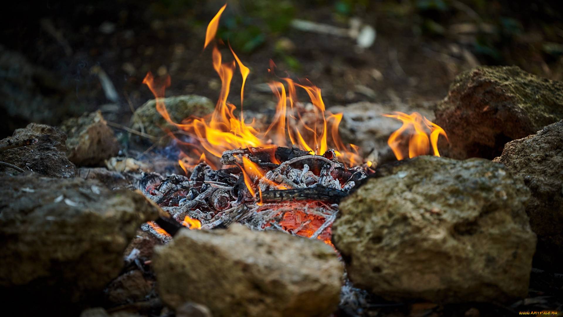 природа, огонь, камни, пепел, костер