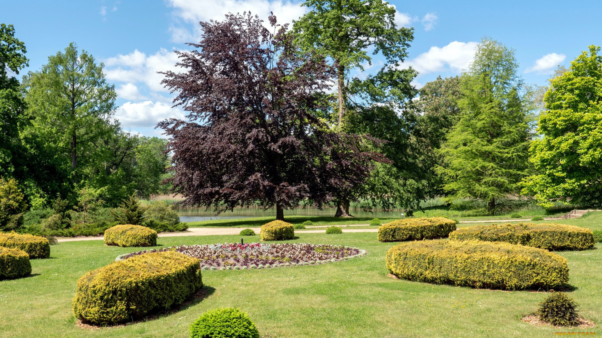 природа, парк, клумбы