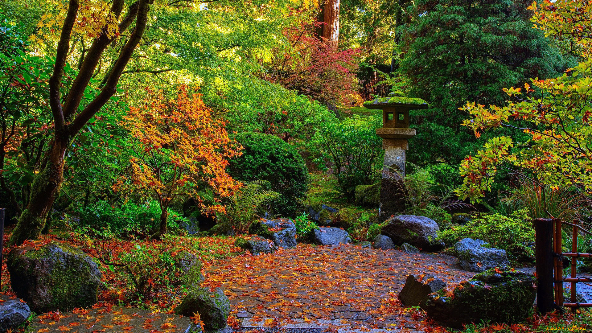 природа, парк, садик, японский