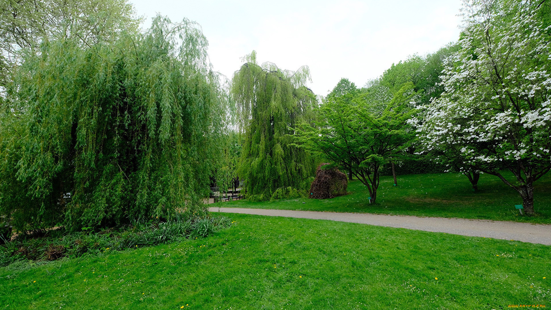 природа, парк, весенний