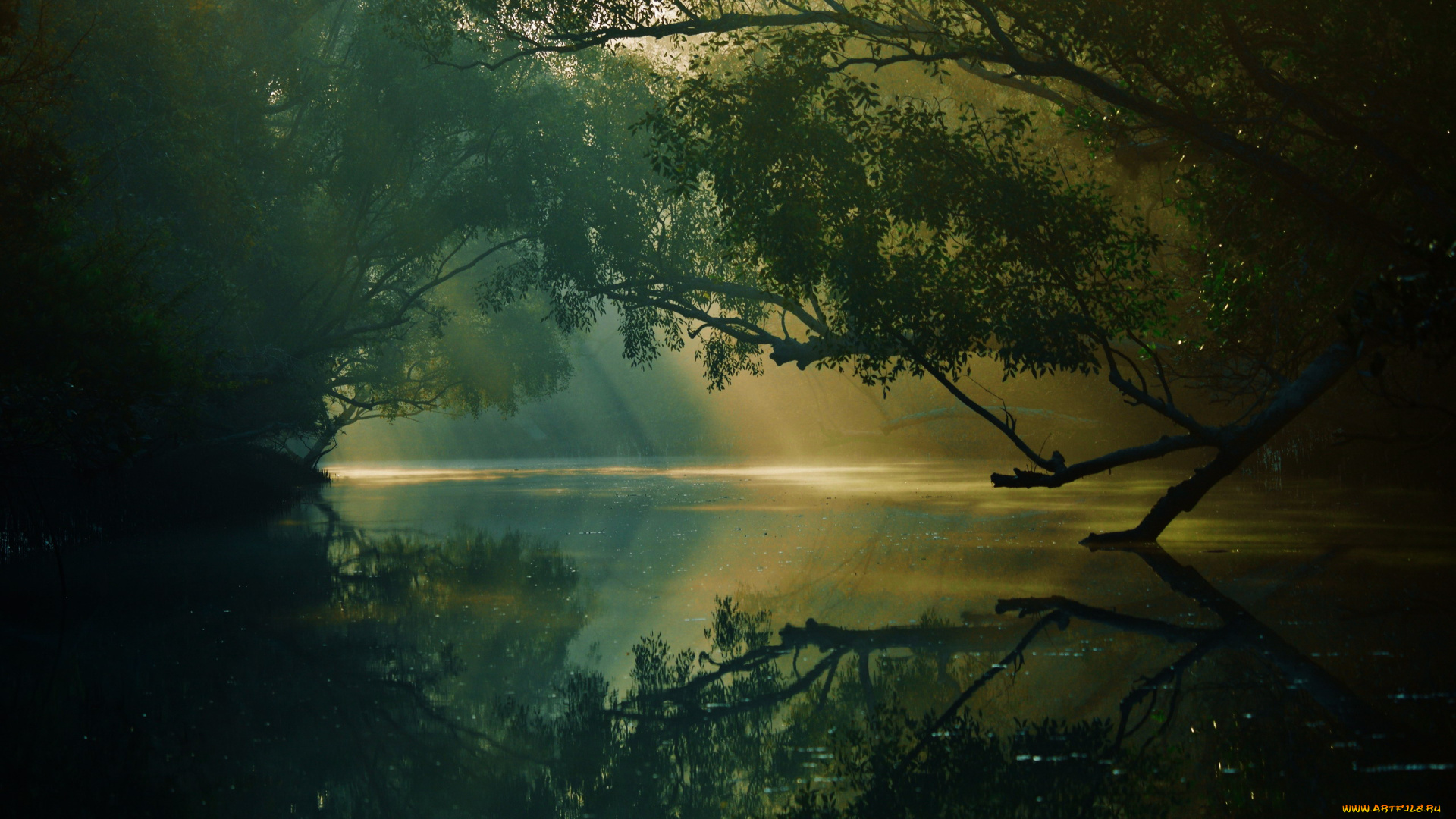 природа, реки, озера, река