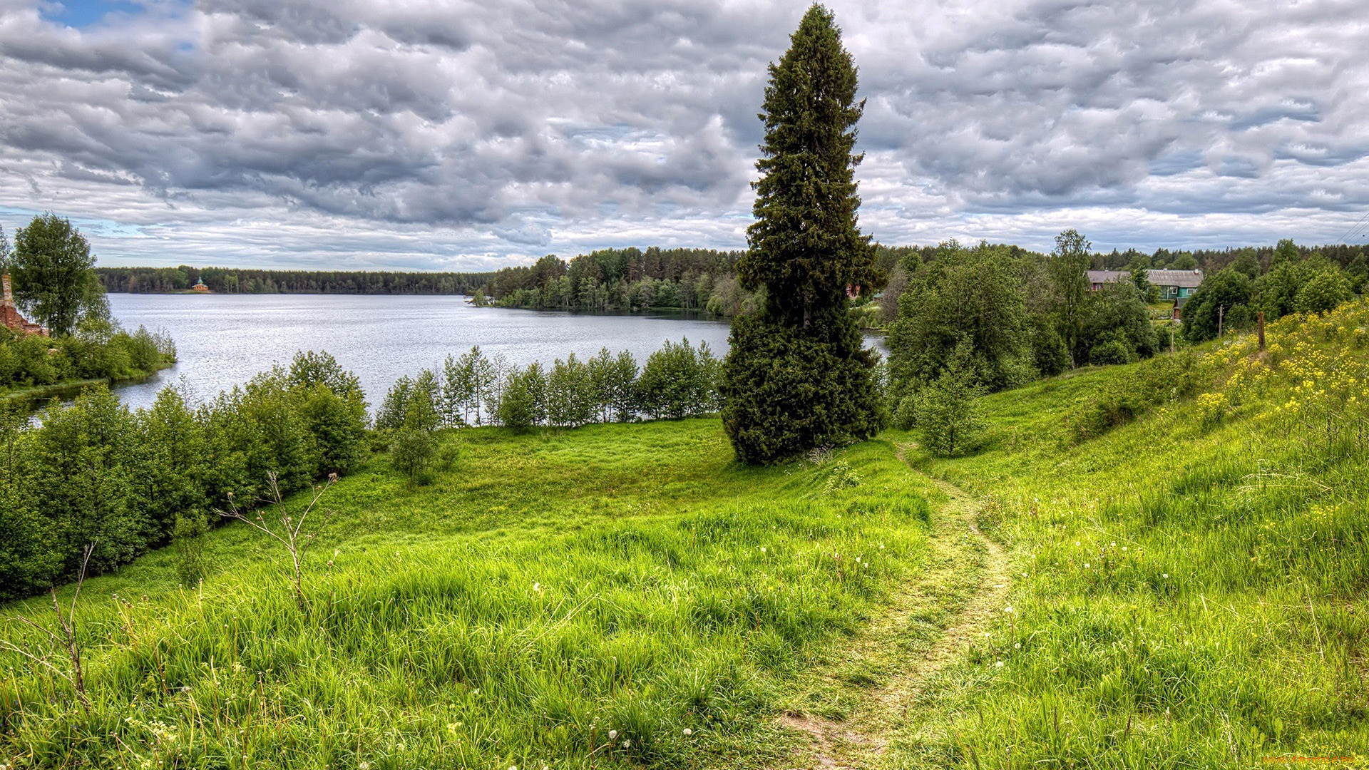 природа, реки, озера, тропинка, луг, река
