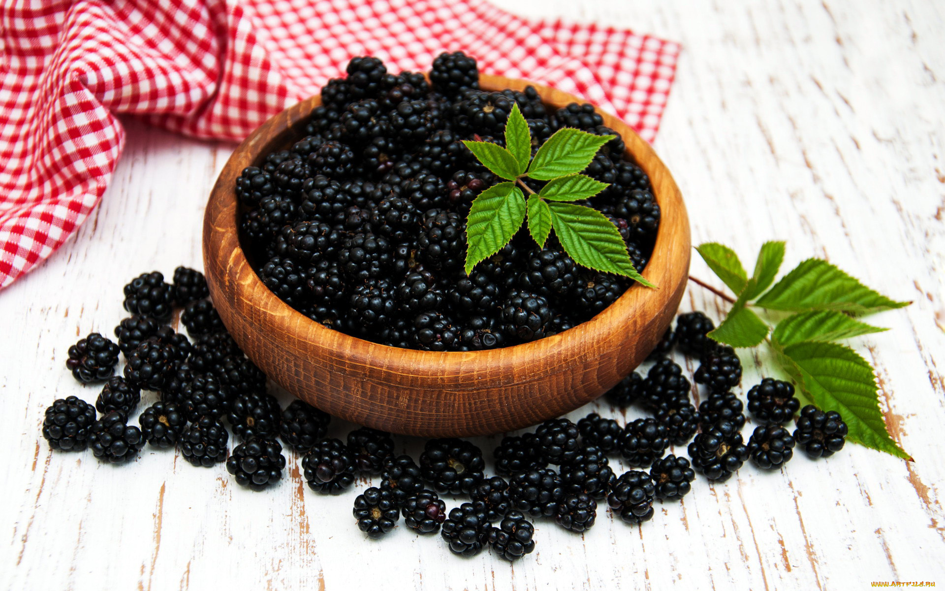 еда, ежевика, ягоды