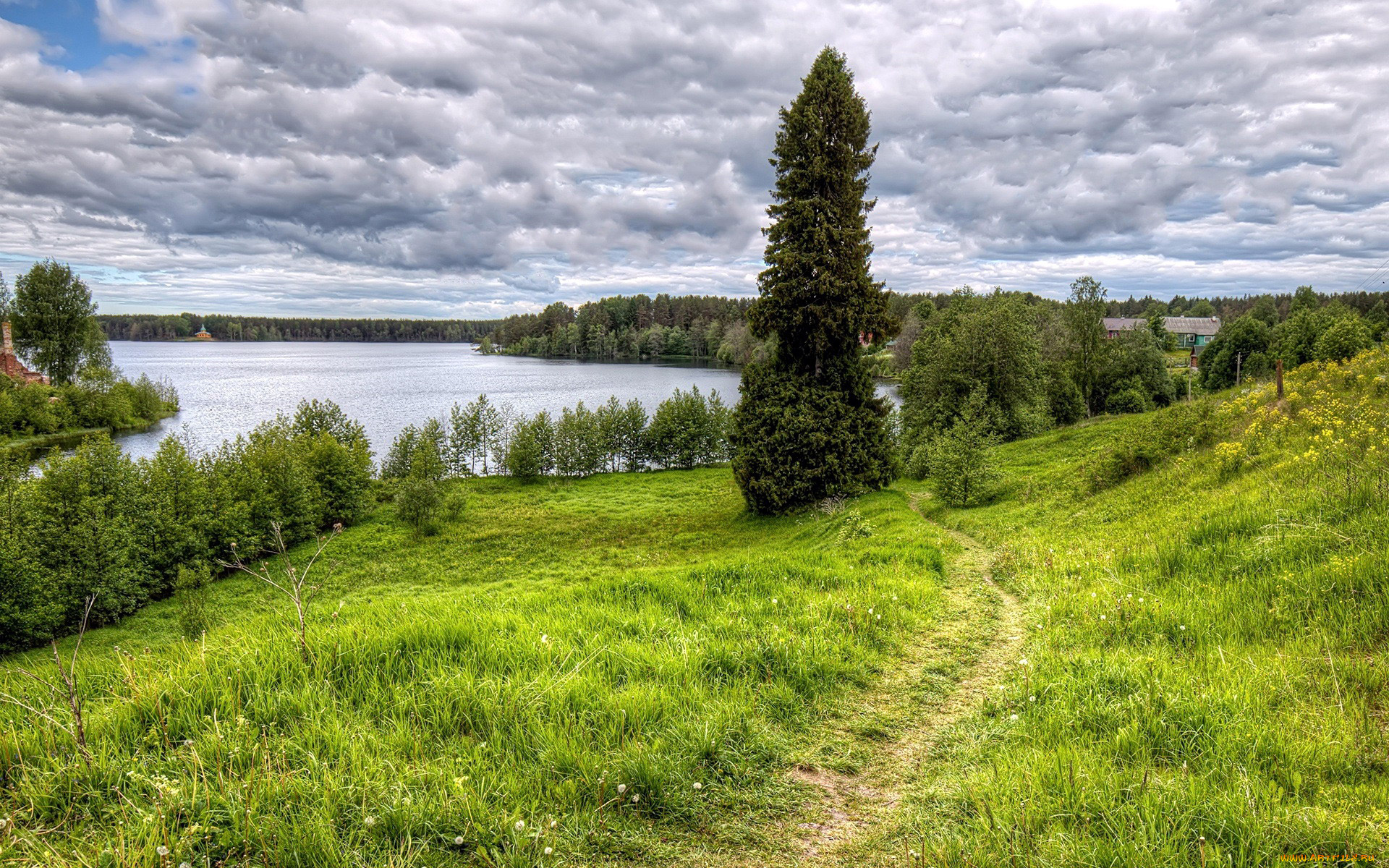 природа, реки, озера, тропинка, луг, река