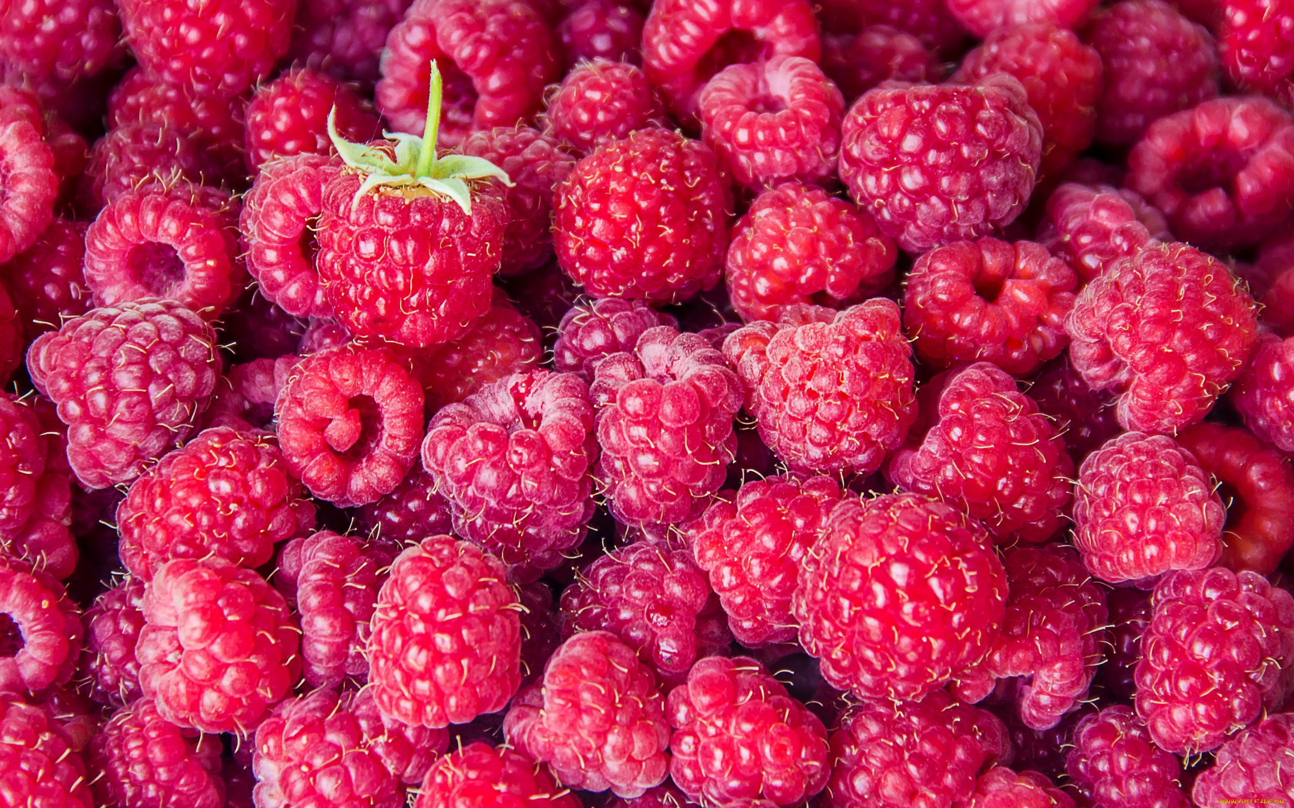 еда, малина, ягоды, спелая