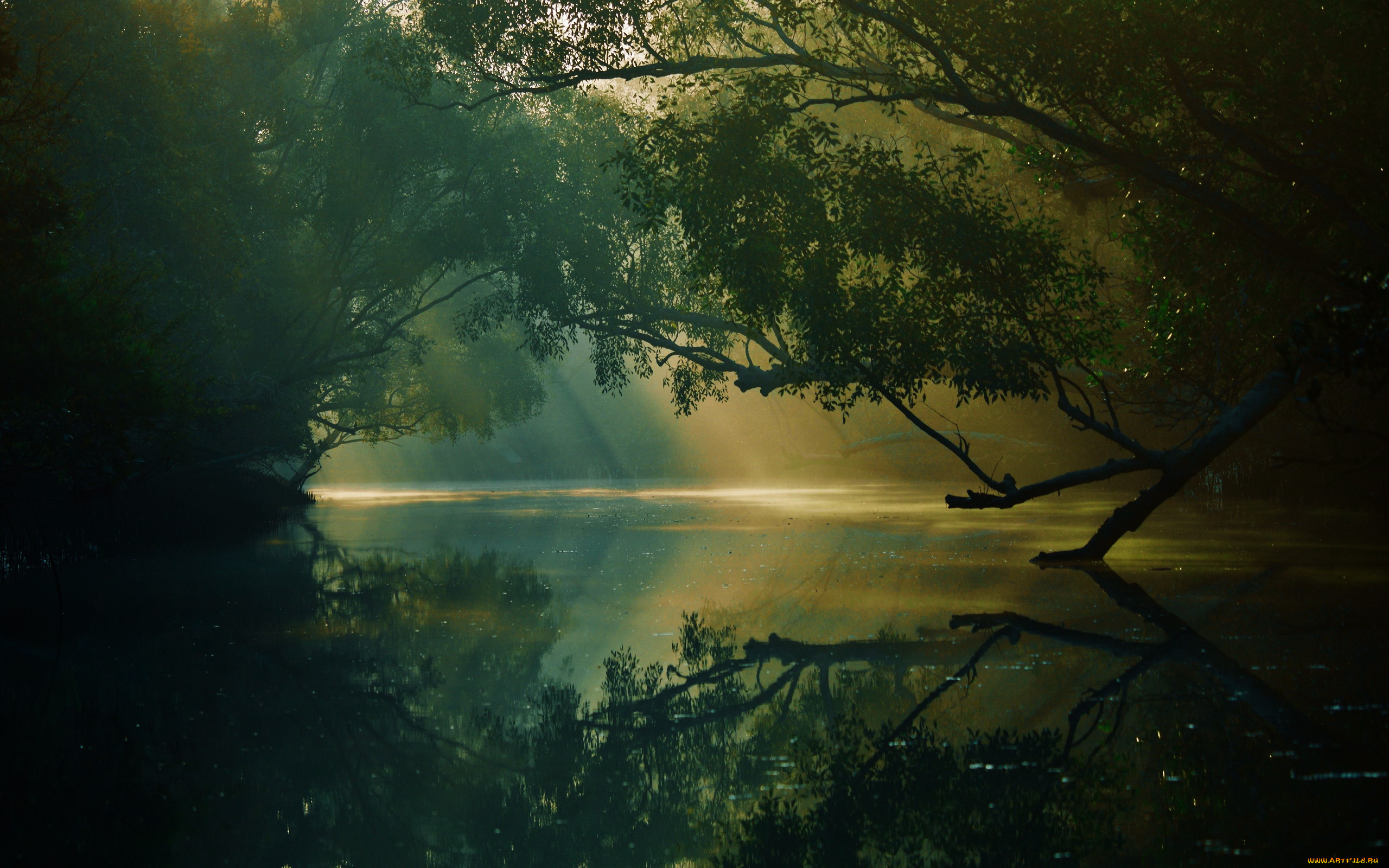 природа, реки, озера, река