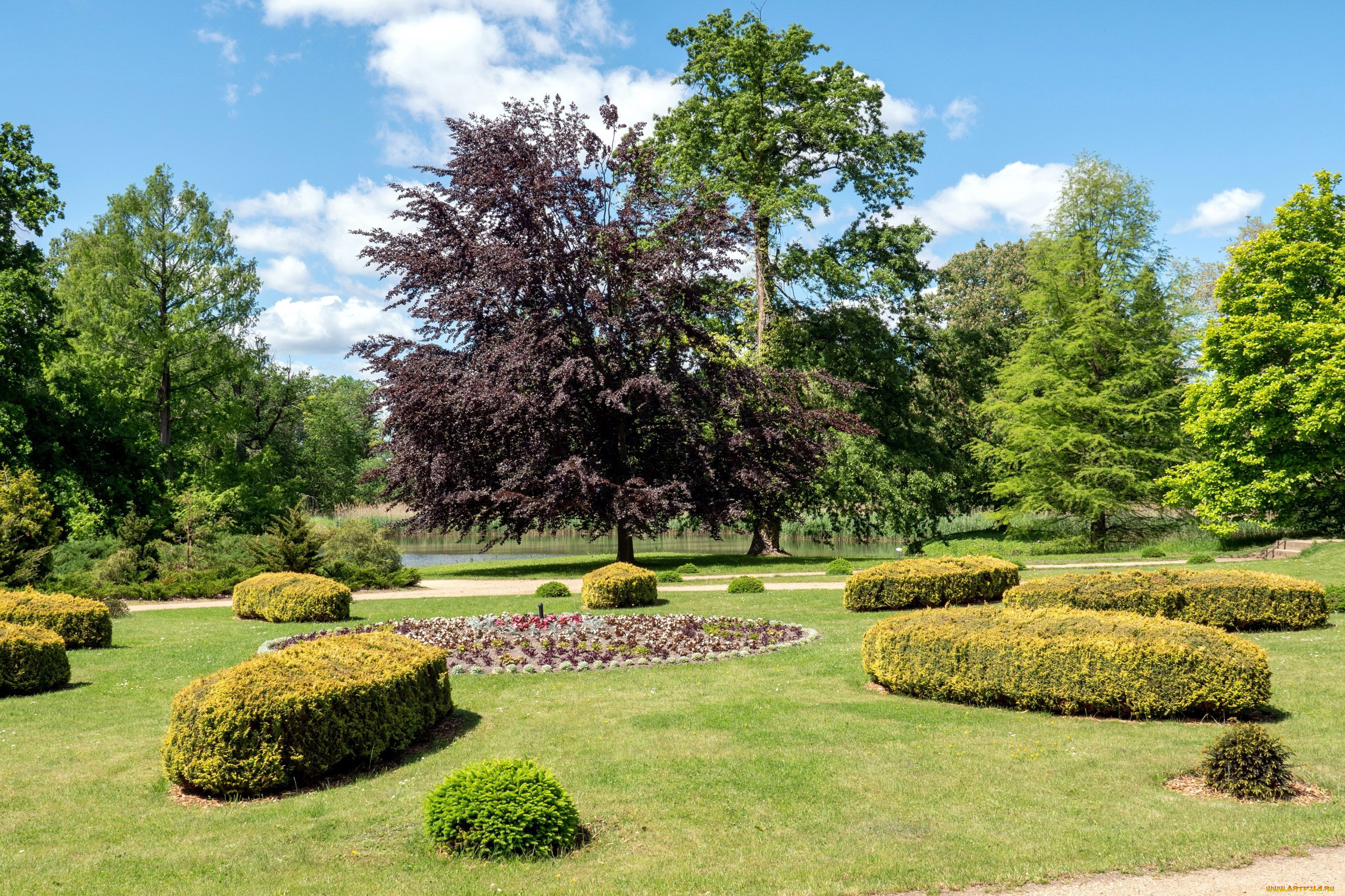 природа, парк, клумбы