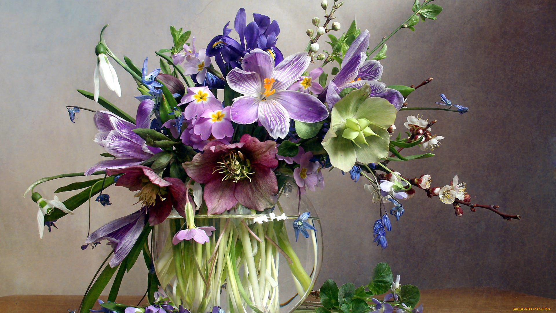 цветы, букеты, , композиции, ирис, крокусы, геллеборус