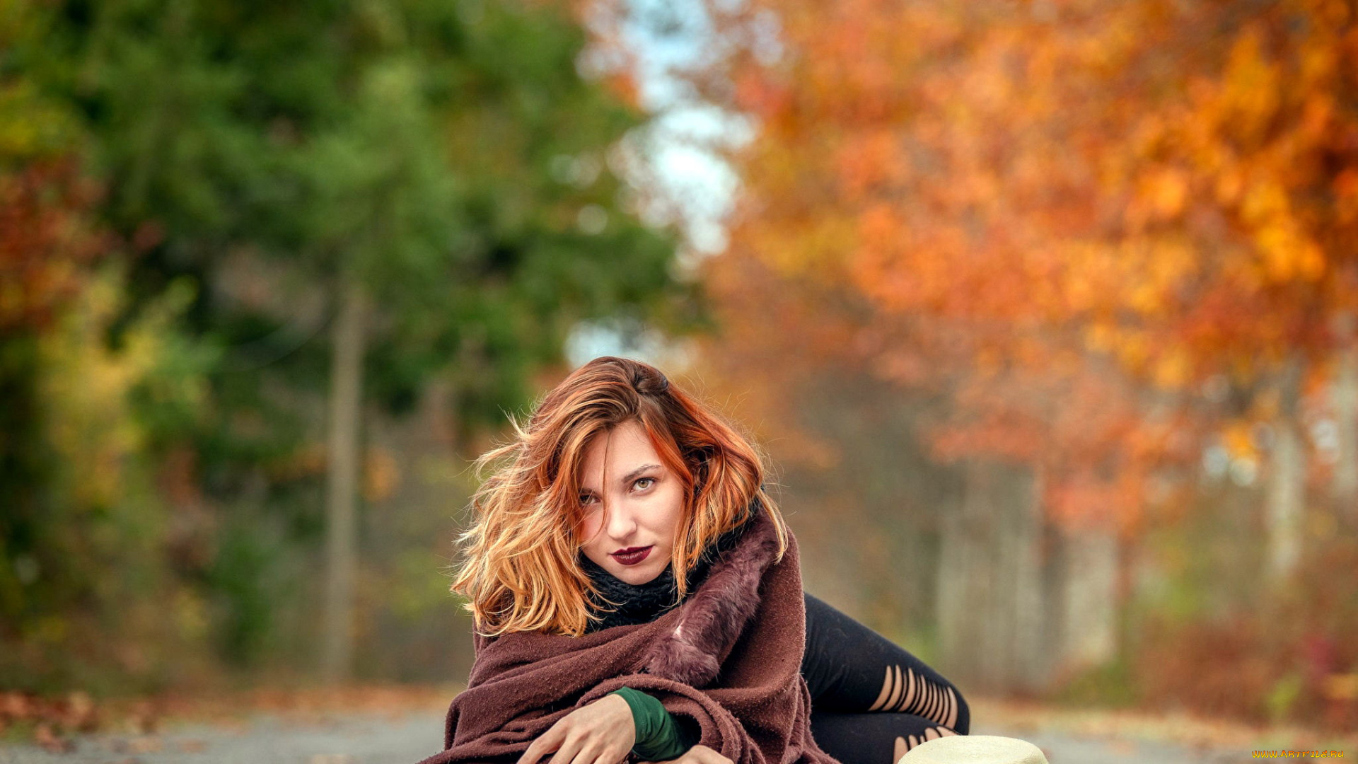 девушки, -, рыжеволосые, и, разноцветные, дорога, осень, девушка, шляпа