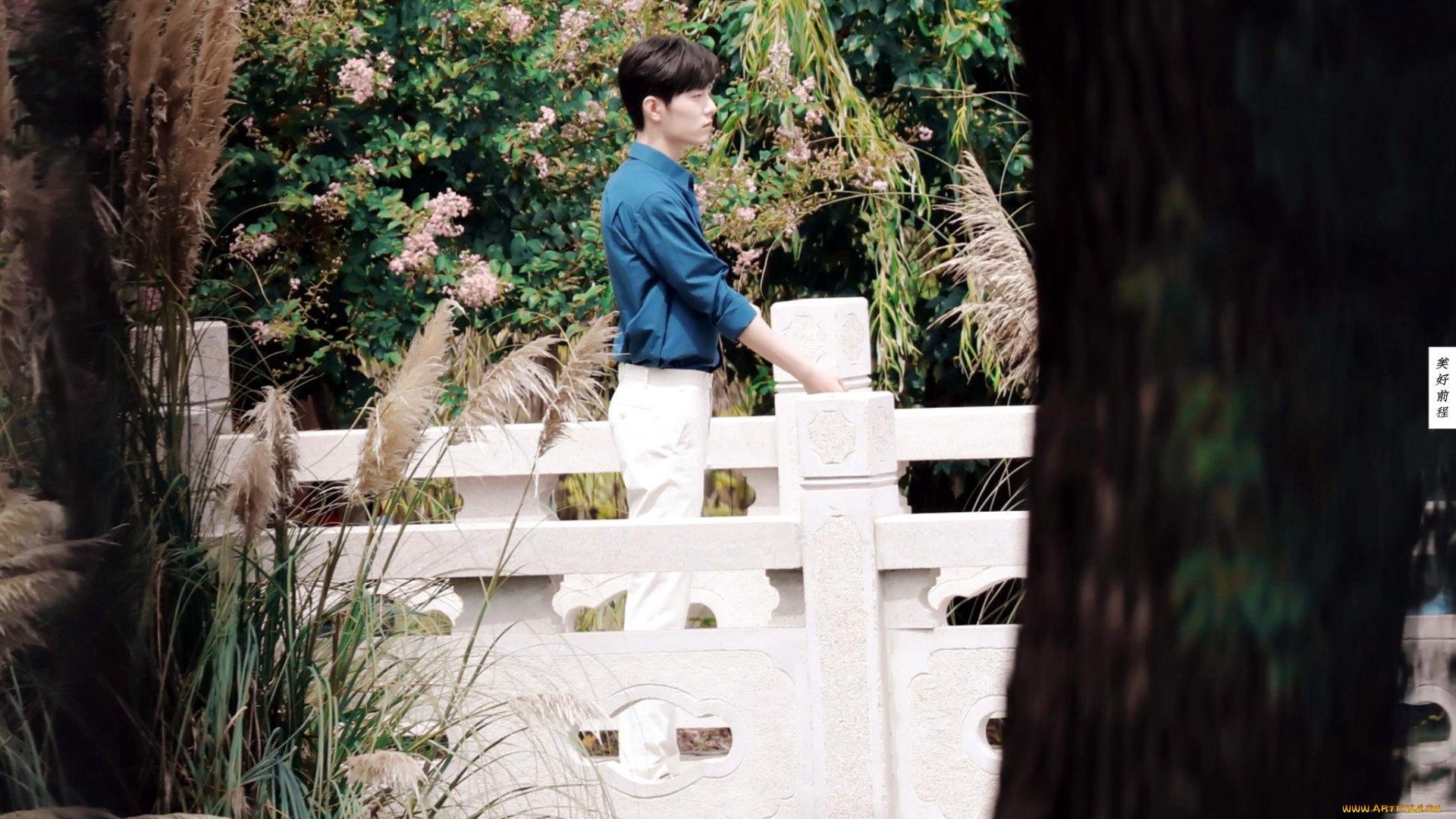 кино, фильмы, the, oath, of, love, доктор, жест, сад, мост