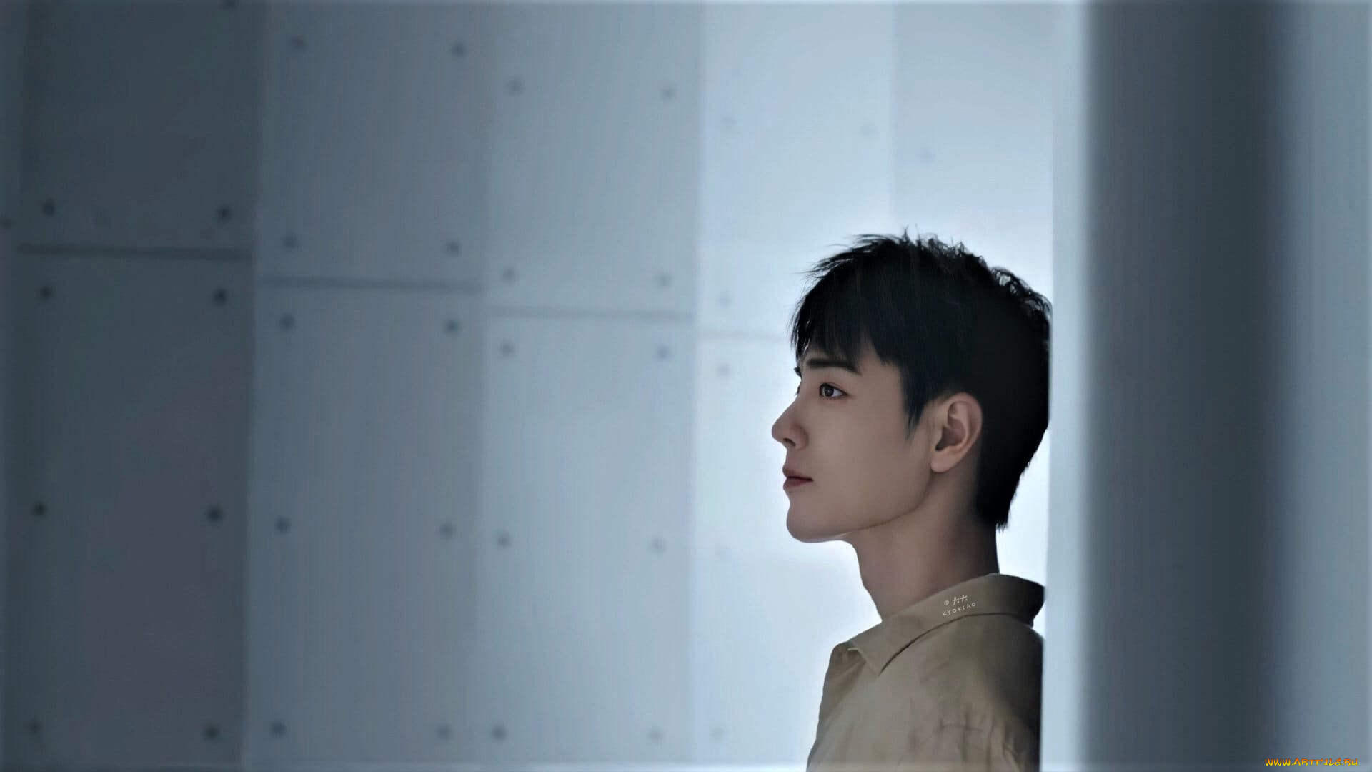 мужчины, xiao, zhan, актер, лицо